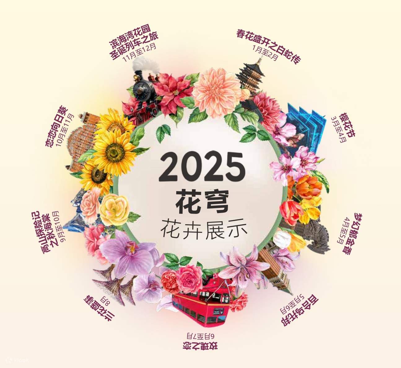 2025花穹