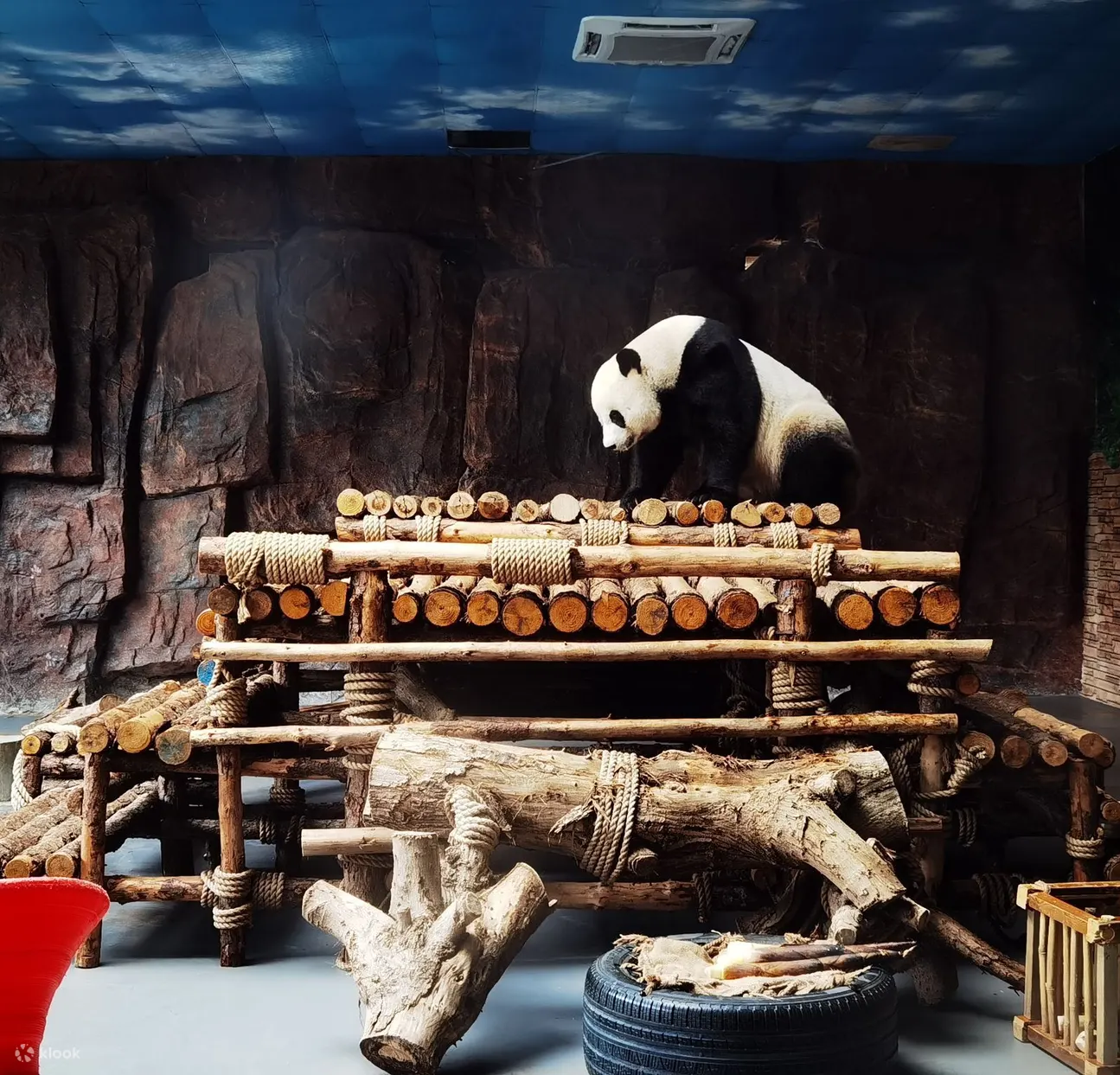 东莞香市动物园
