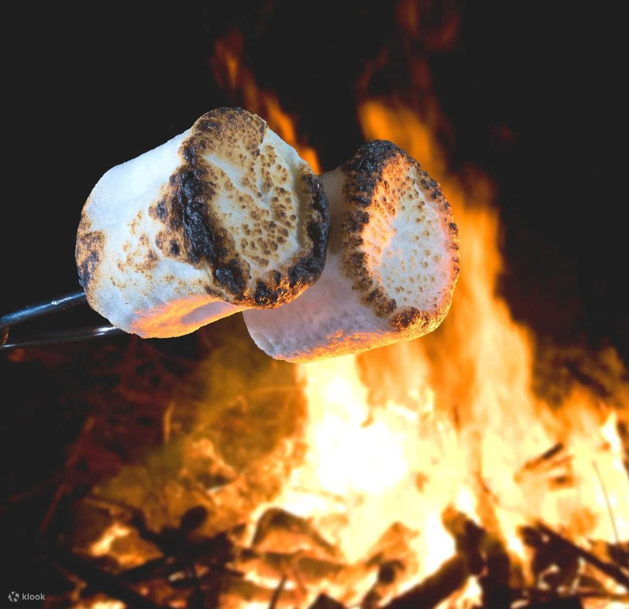 Barbekyu Lappish Malam