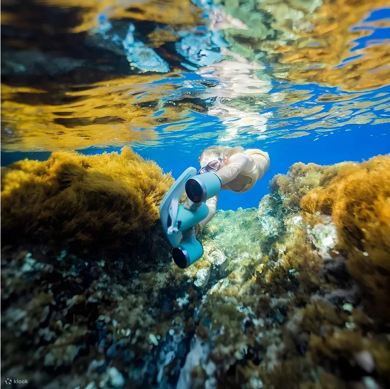 Discover the underwater world with fun!