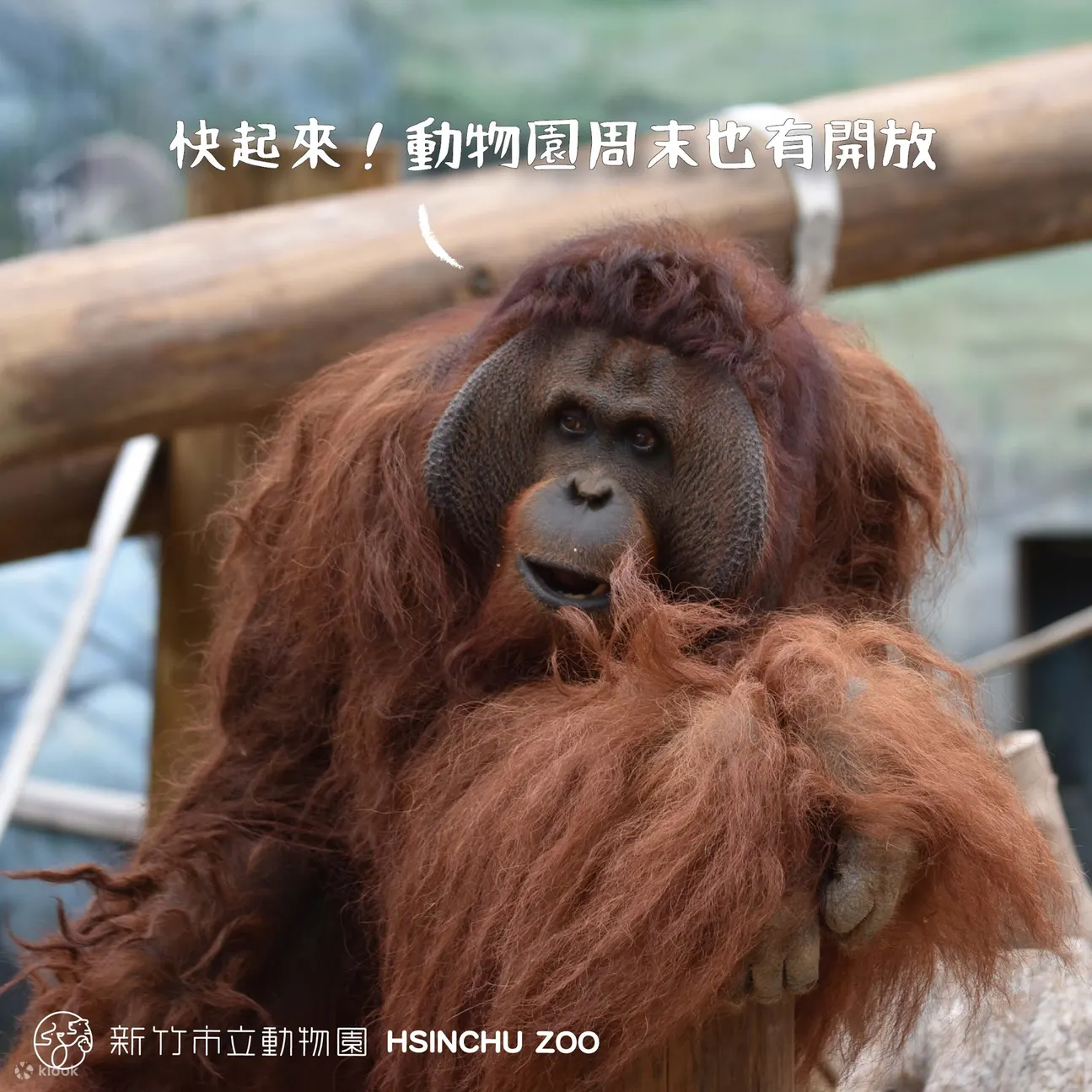 新竹市立动物园