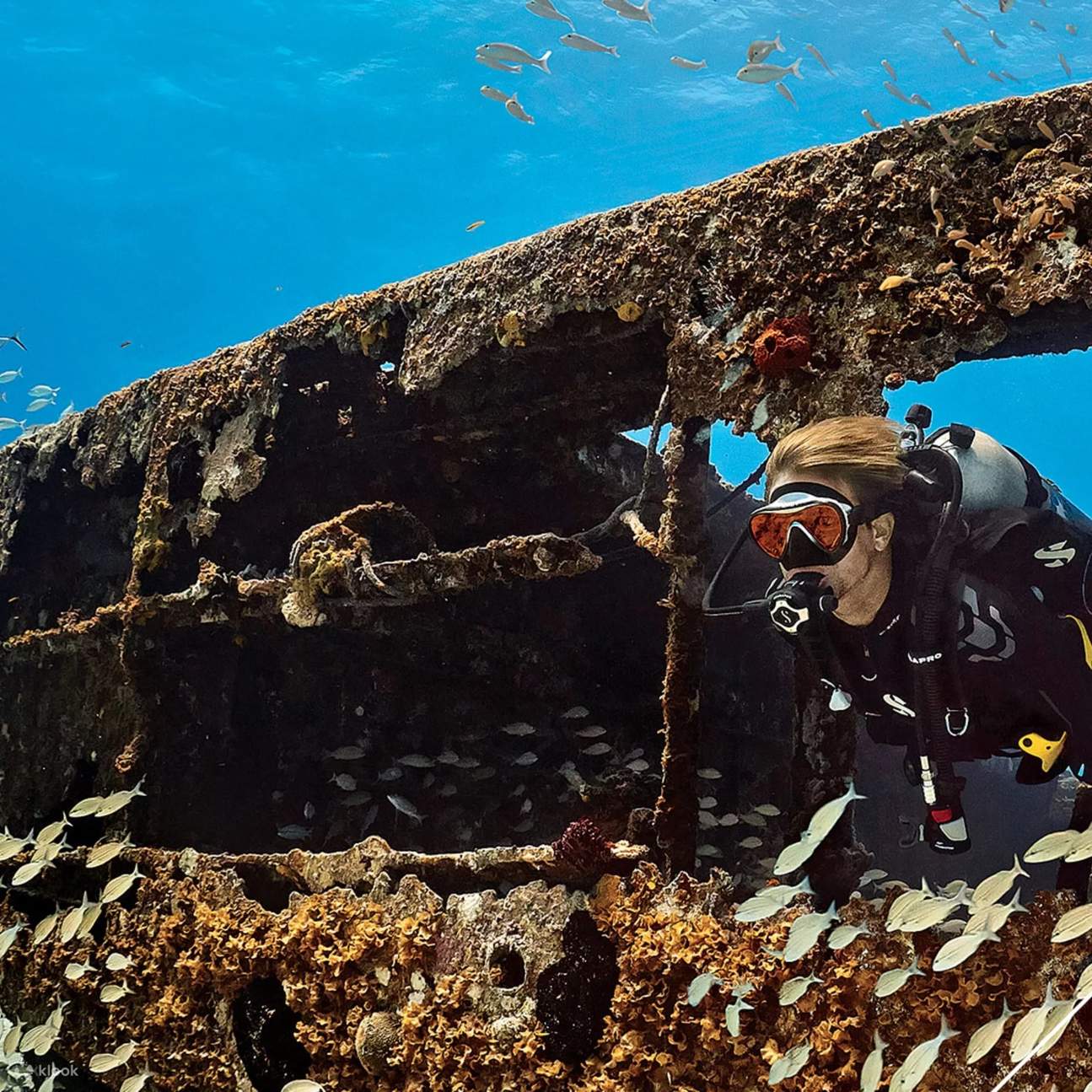 Jelajahi kedalaman bangkai kapal Key Biscayne yang mendebarkan sebagai bagian dari Advanced Open Water Course Anda, tempat sejarah dan kehidupan laut bertemu