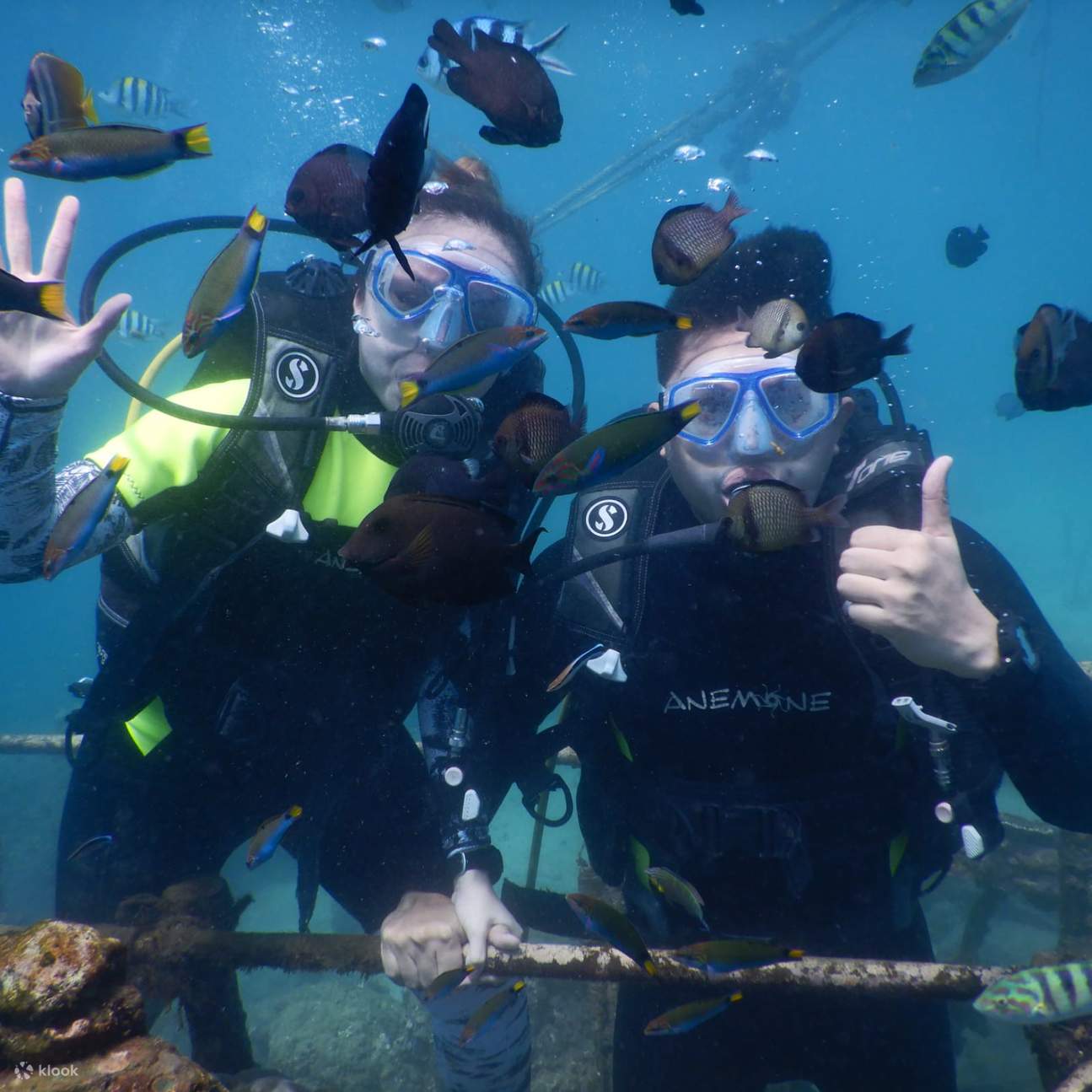 กิจกรรมเล่นกีฬาทางน้ำที่ตันจุง เบอนัว (Tanjung Benoa) ในบาหลี