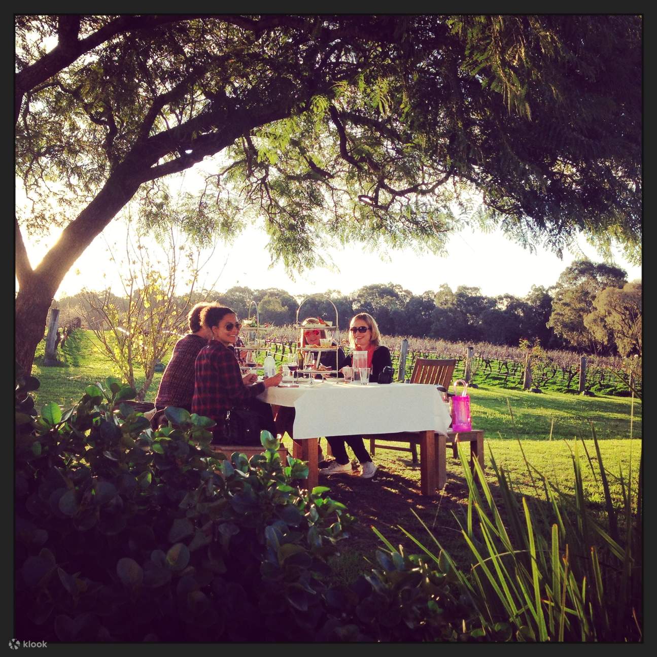 Calais Estate Wine Tasting in Hunter Valley Klook India