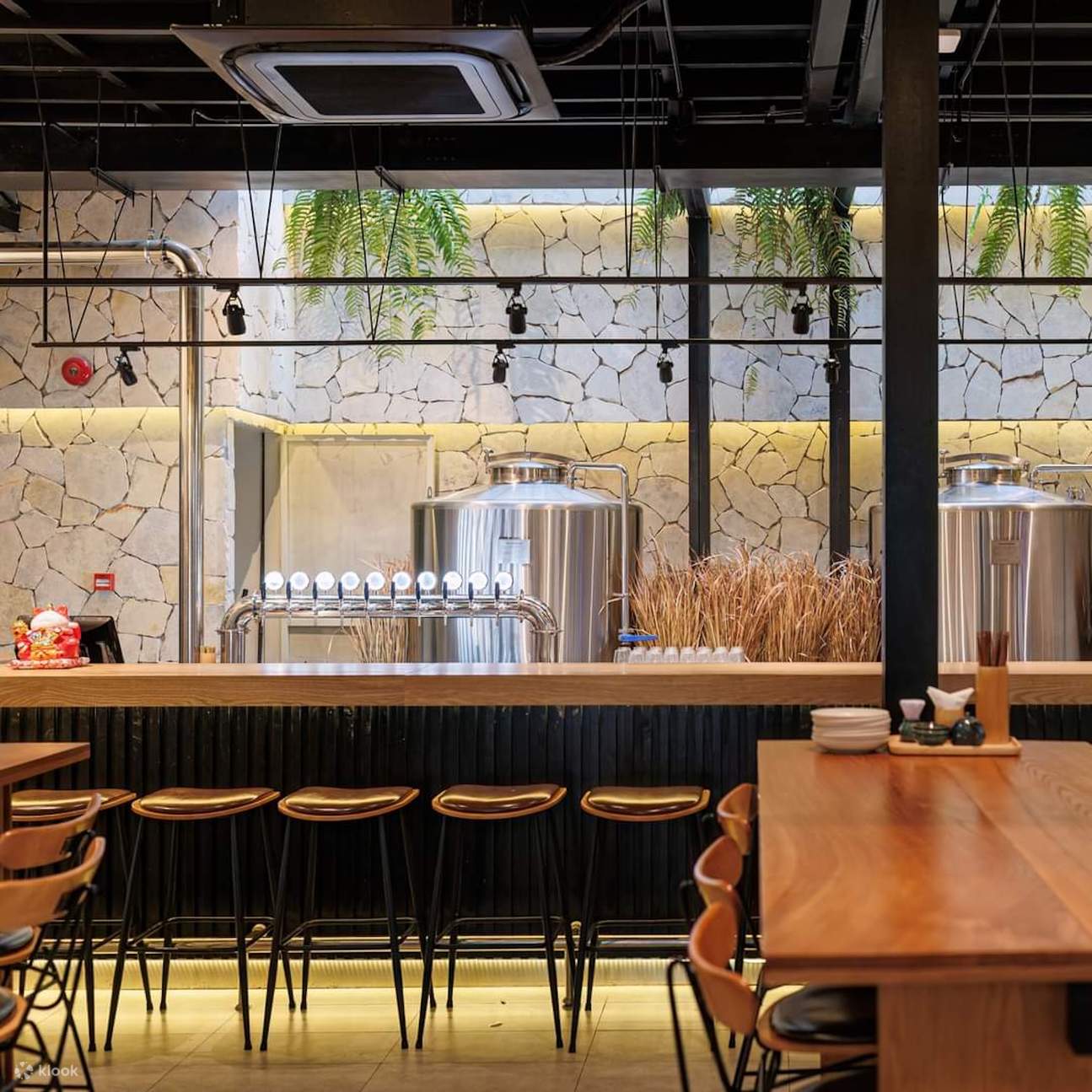 사케 시음 체험