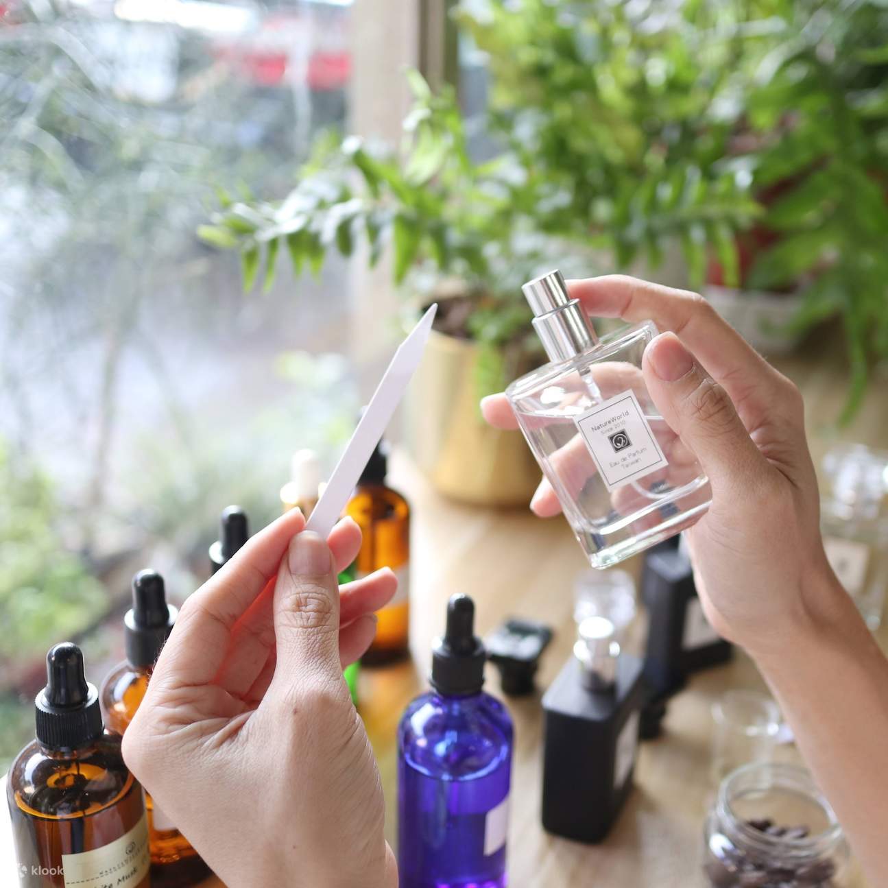 Hsinchu｜Écologique et authentique en toutes saisons｜Parfum des cinq éléments・Diffuseur de fée aux vœux・Bougie parfumée à la feuille d'or DIY・21 parfums classiques｜Réservation téléphonique obligatoire