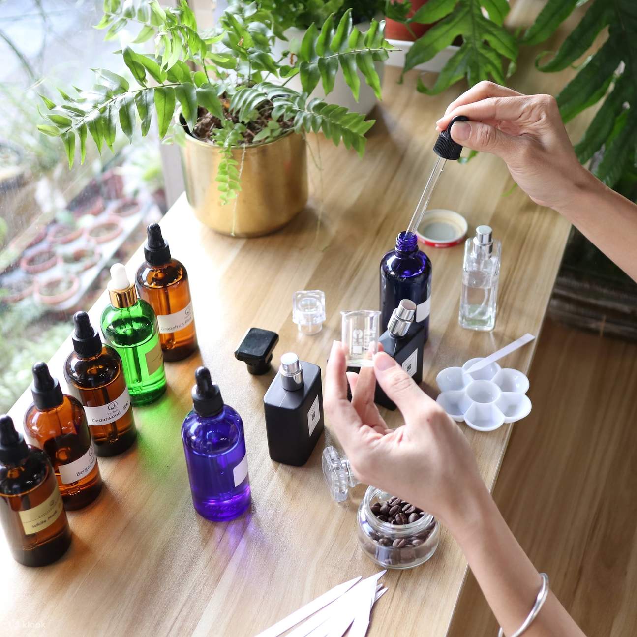 Hsinchu｜Écologique et authentique en toutes saisons｜Parfum des cinq éléments・Diffuseur de fée aux vœux・Bougie parfumée à la feuille d'or DIY・21 parfums classiques｜Réservation téléphonique obligatoire