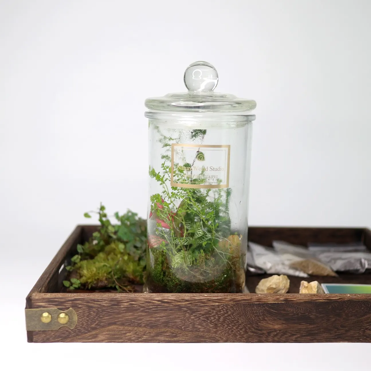 新竹: 原生态四季 植栽花艺DIY体验