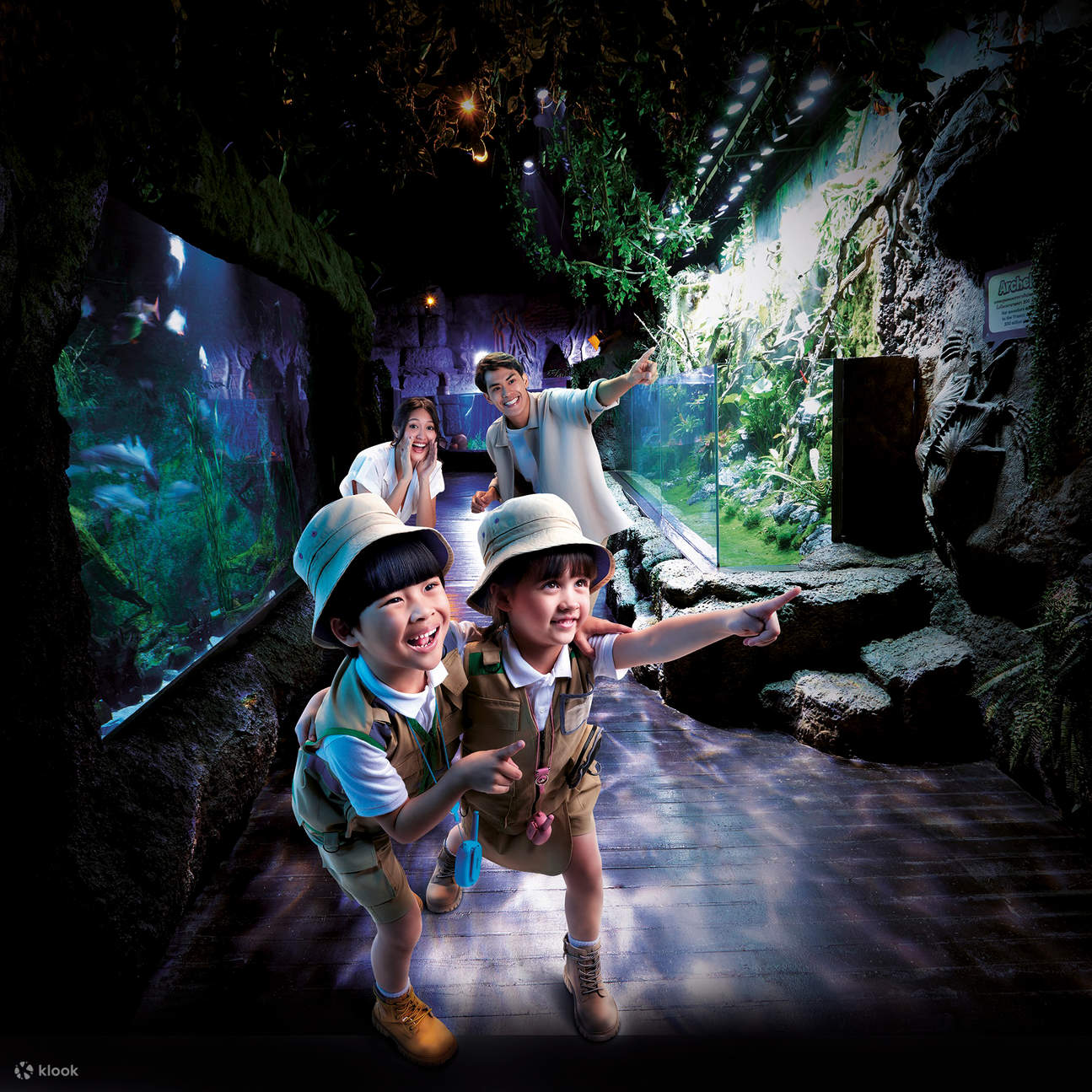 Zona de selva tropical