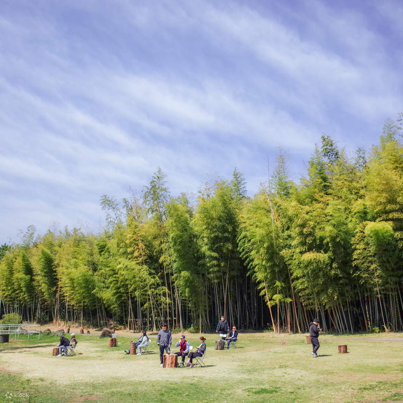 Sesi Pemotretan Pribadi di Hutan Bambu & Ranch 