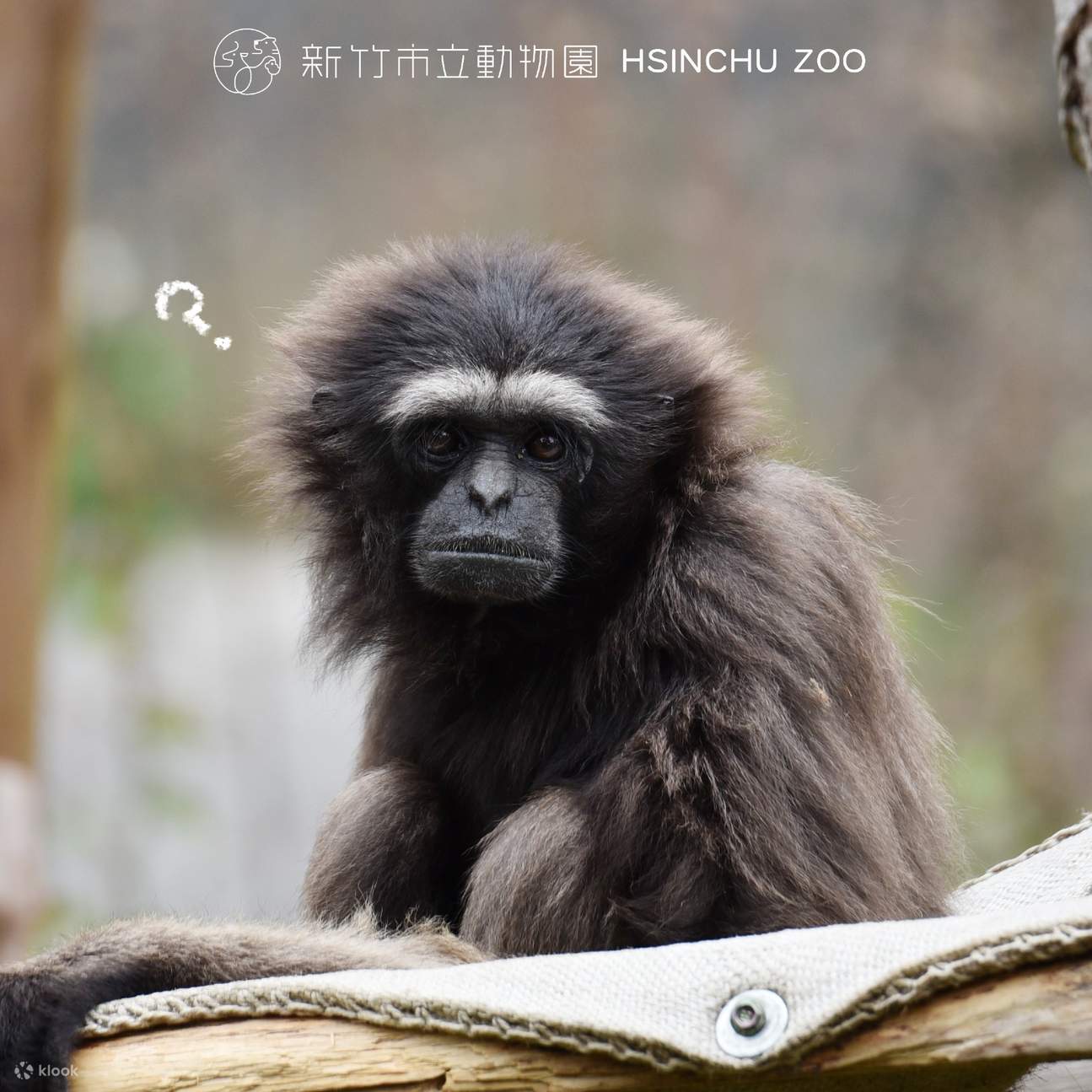 Zoológico Municipal de Hsinchu