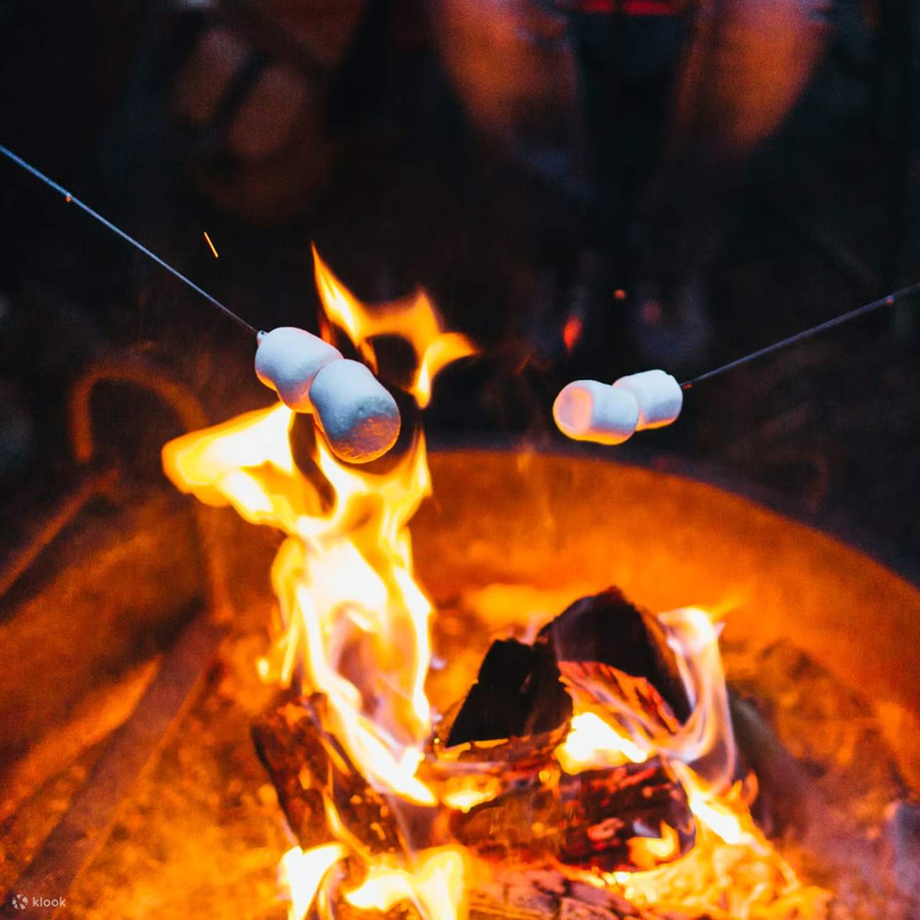 Barbekyu Lappish Malam