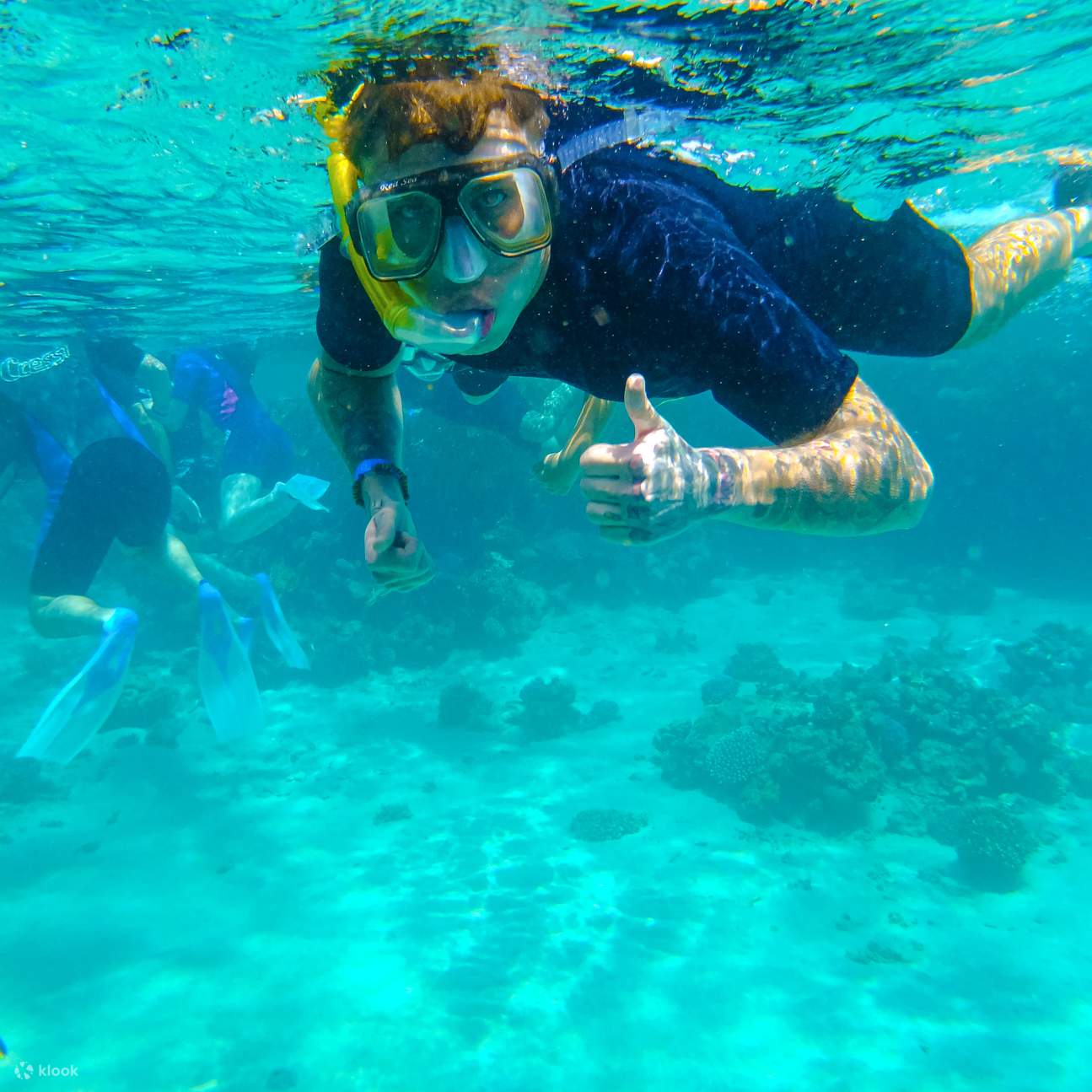Explore Ras Mohamed National Park By Bus Red Sea Eco Tour Klook explore-ras-mohamed-national-park-by-bus-red-sea-eco-tour-klook