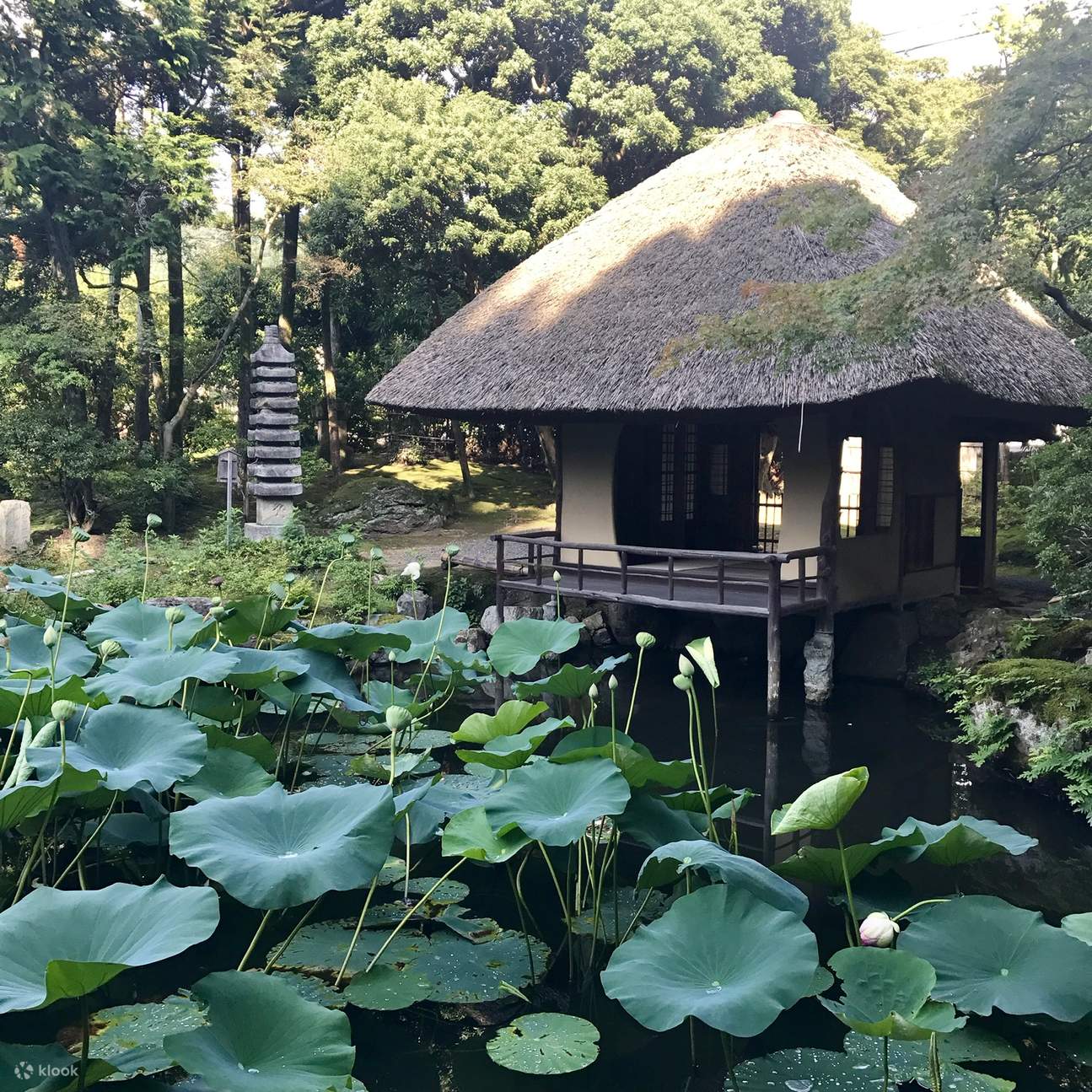 Kyoto Tea Ceremony in a Japanese Painter's Garden Class Klook United