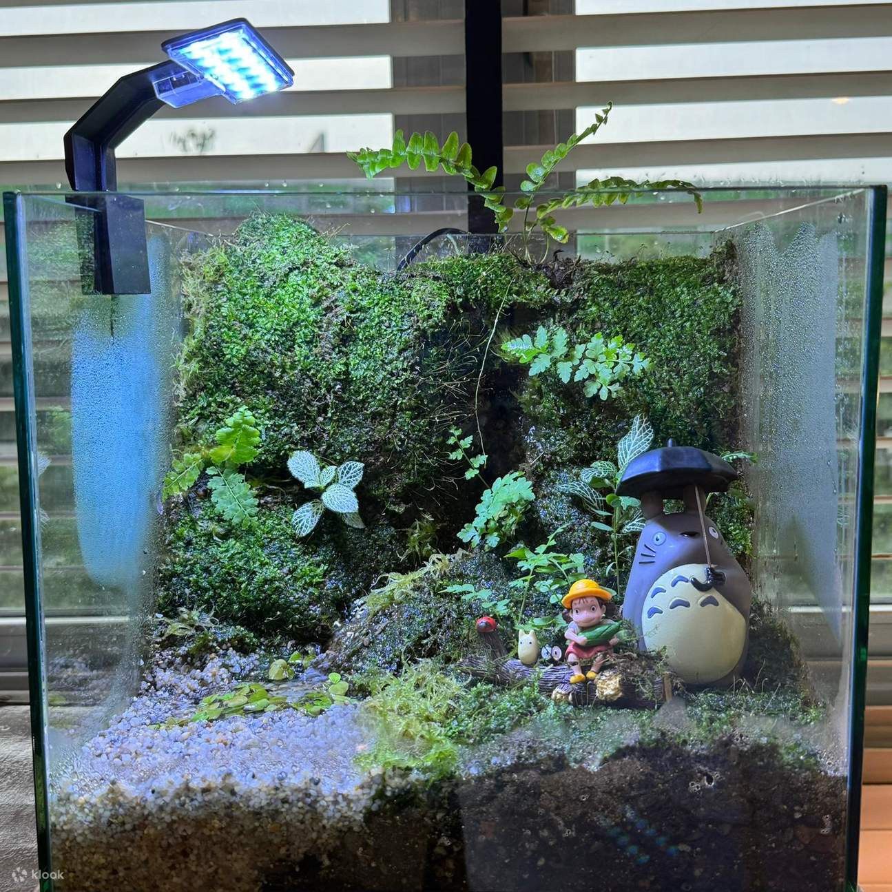 สร้างสรรค์, สร้าง, เชื่อมต่อ