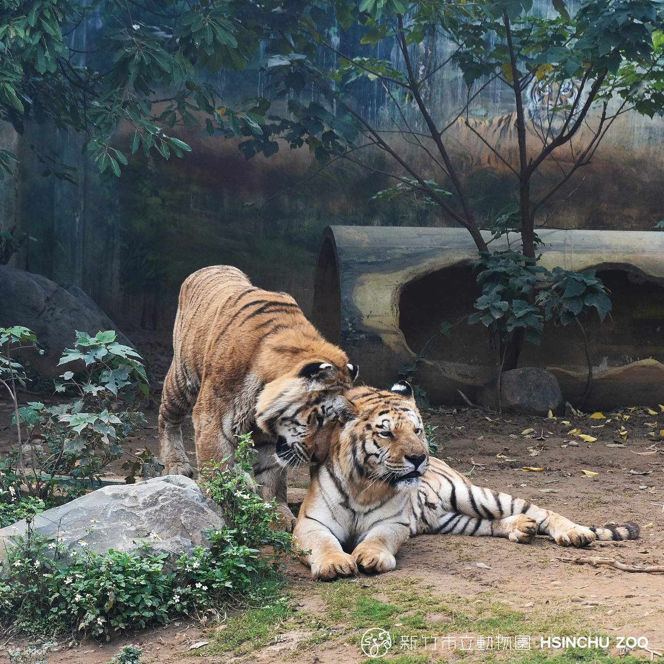 Zoológico de Hsinchu