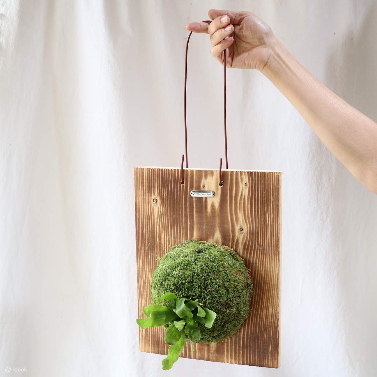 Hsinchu: Pristine Four Seasons - Planting & Floral Art DIY Experience