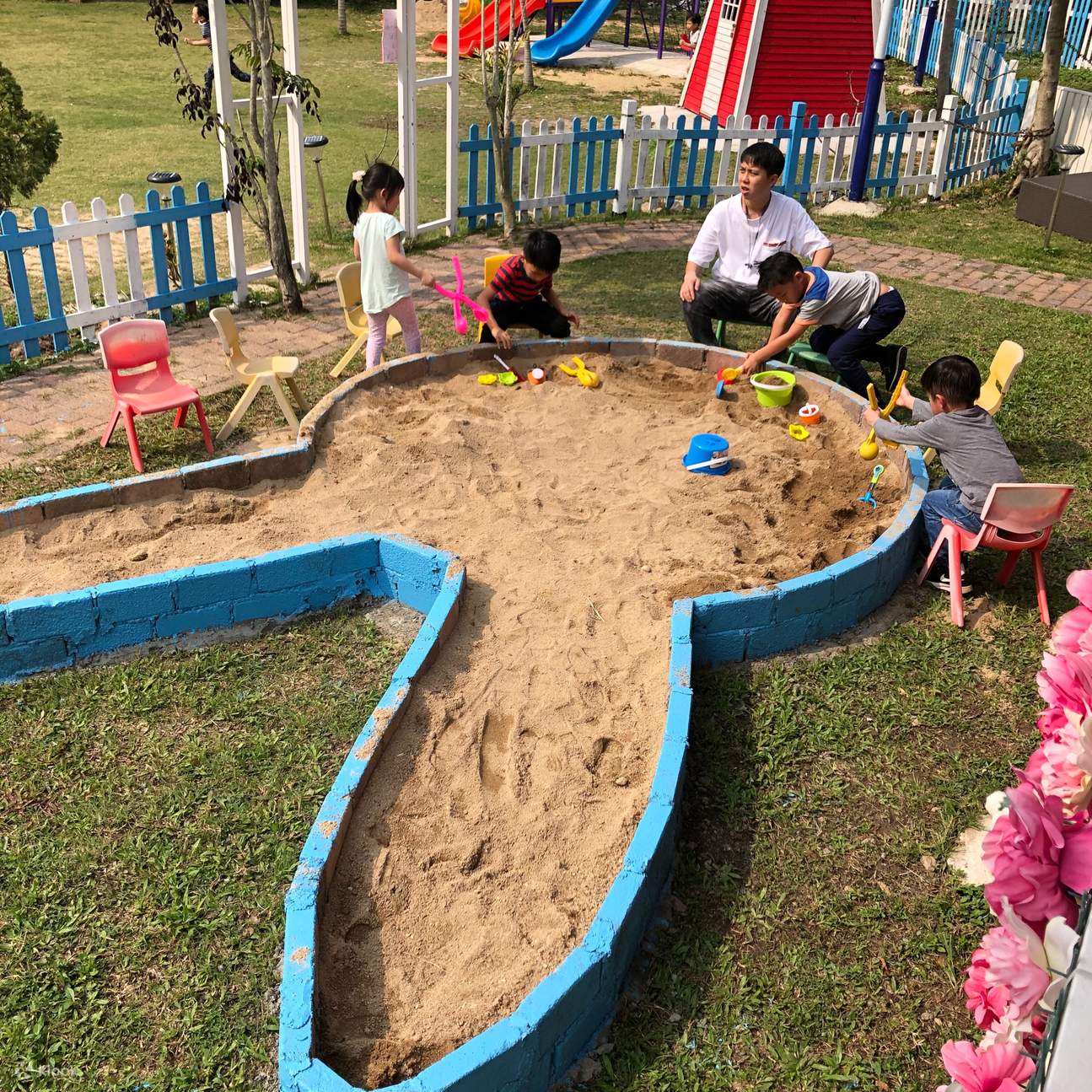 [Aktivitas orangtuaanak] Yuen Long Little White Rabbit Farm Bunny