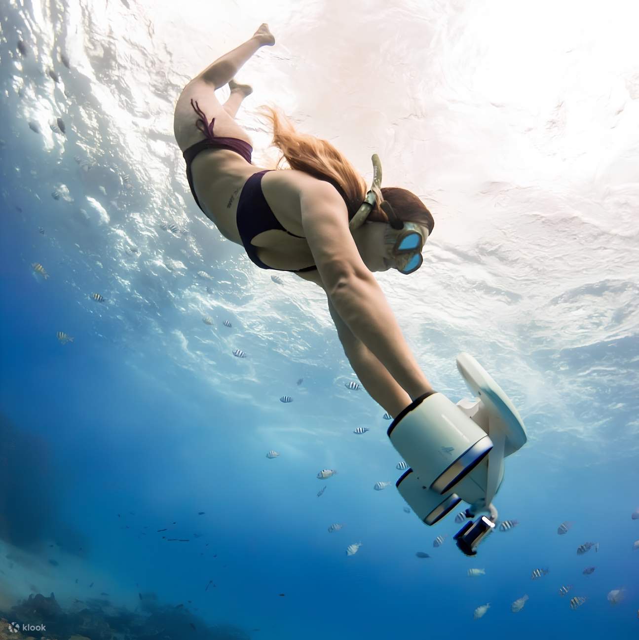 Une expérience unique