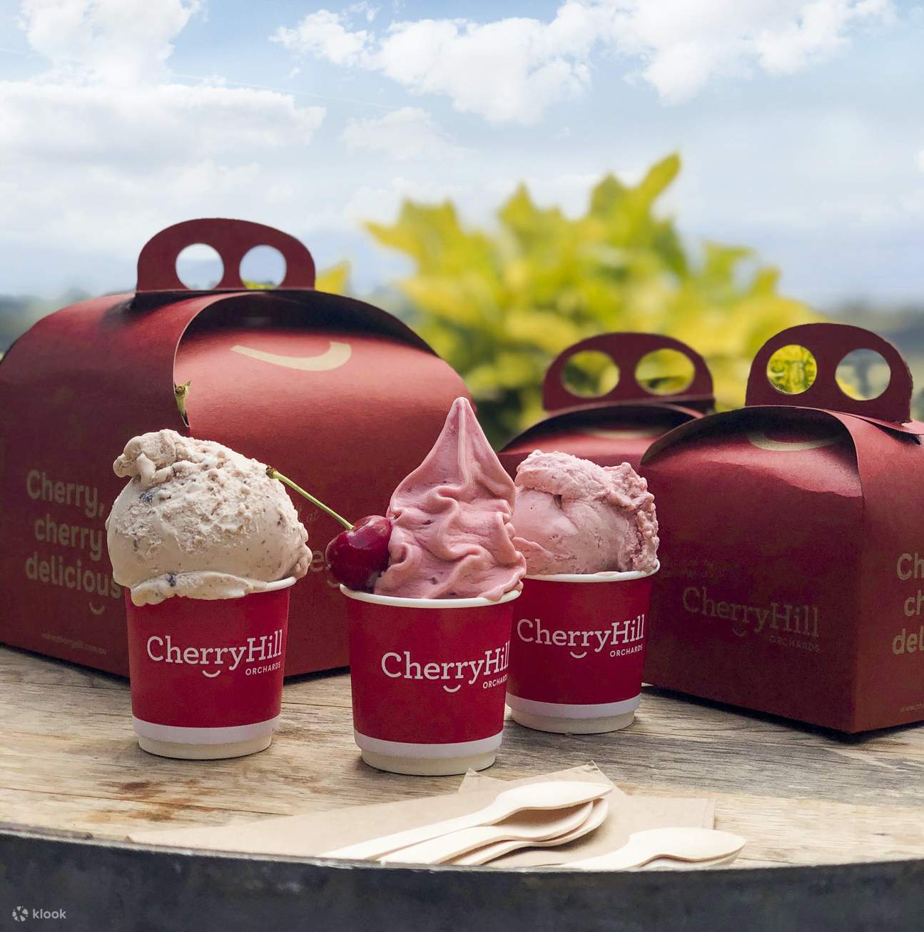 Pesta Cherry Blossom di CherryHill Orchards