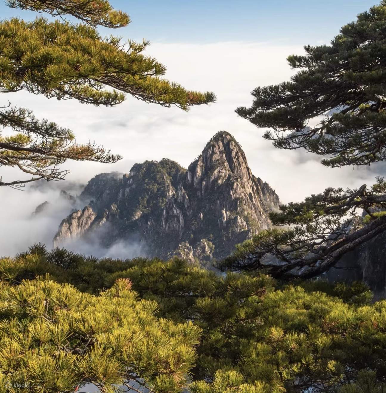 【中古】 中国自然文化遺産３ 中国名勝地の自然と風景 邦画 LDW-103 安徽省黄山風景区 + 宏村 2 日間ツアー (中国の世界自然遺産と