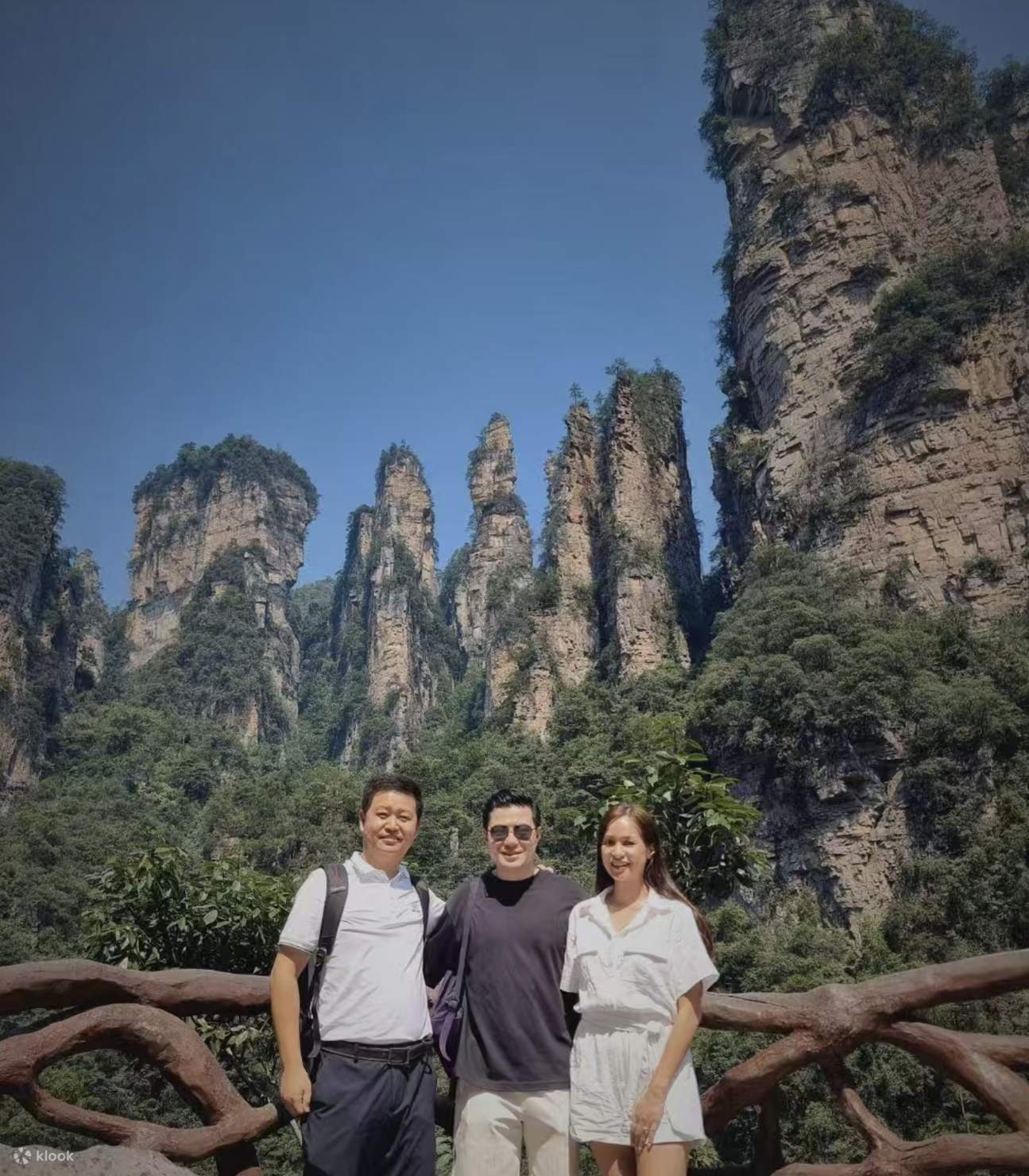 Zhangjiajie: Avatar Hallelujah Mountain and monkey Viewing Day Tour ...