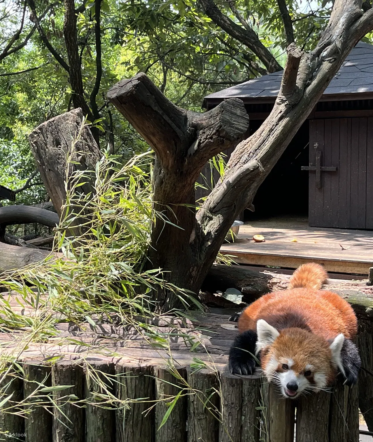 云南野生动物园