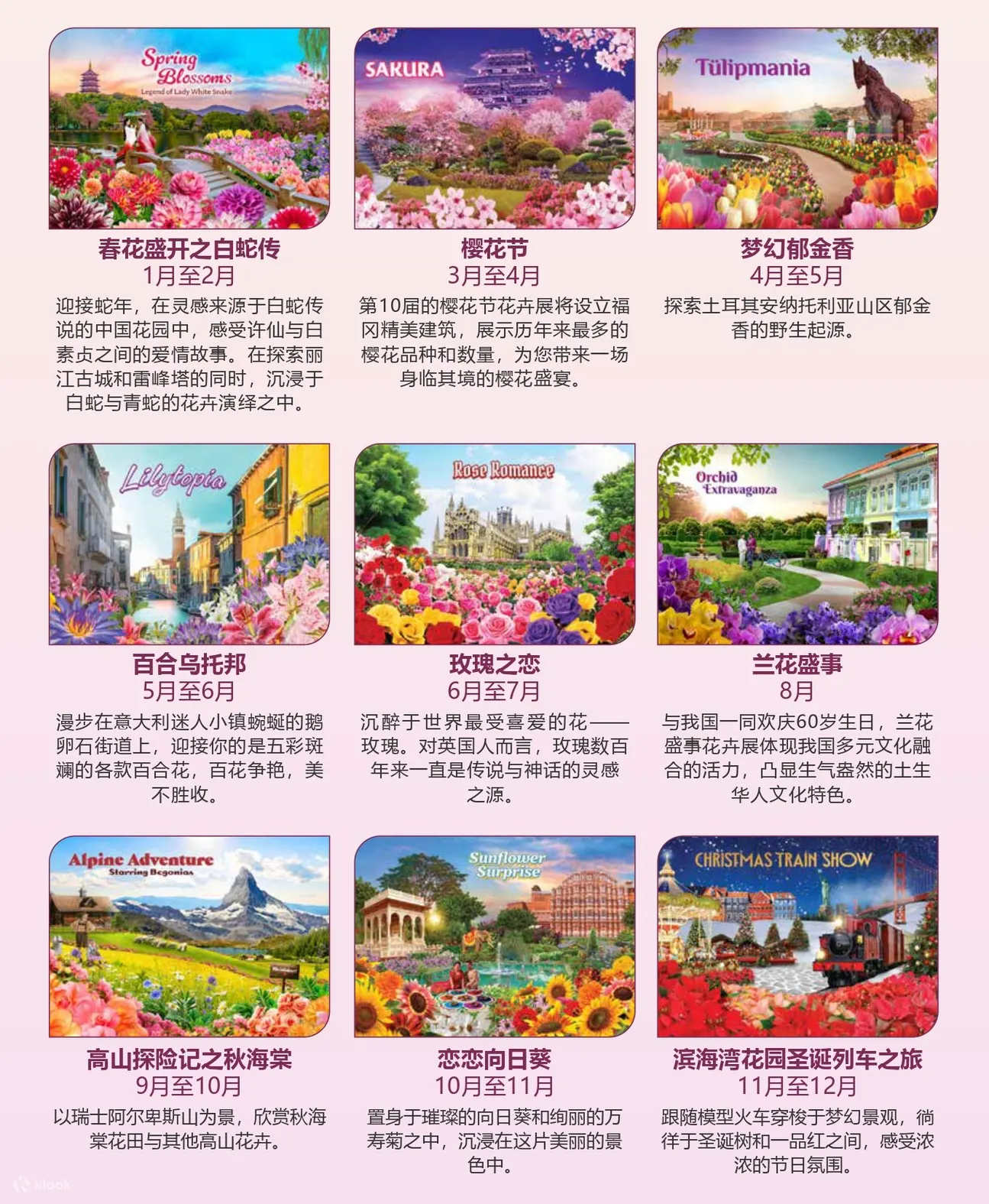 2025花穹