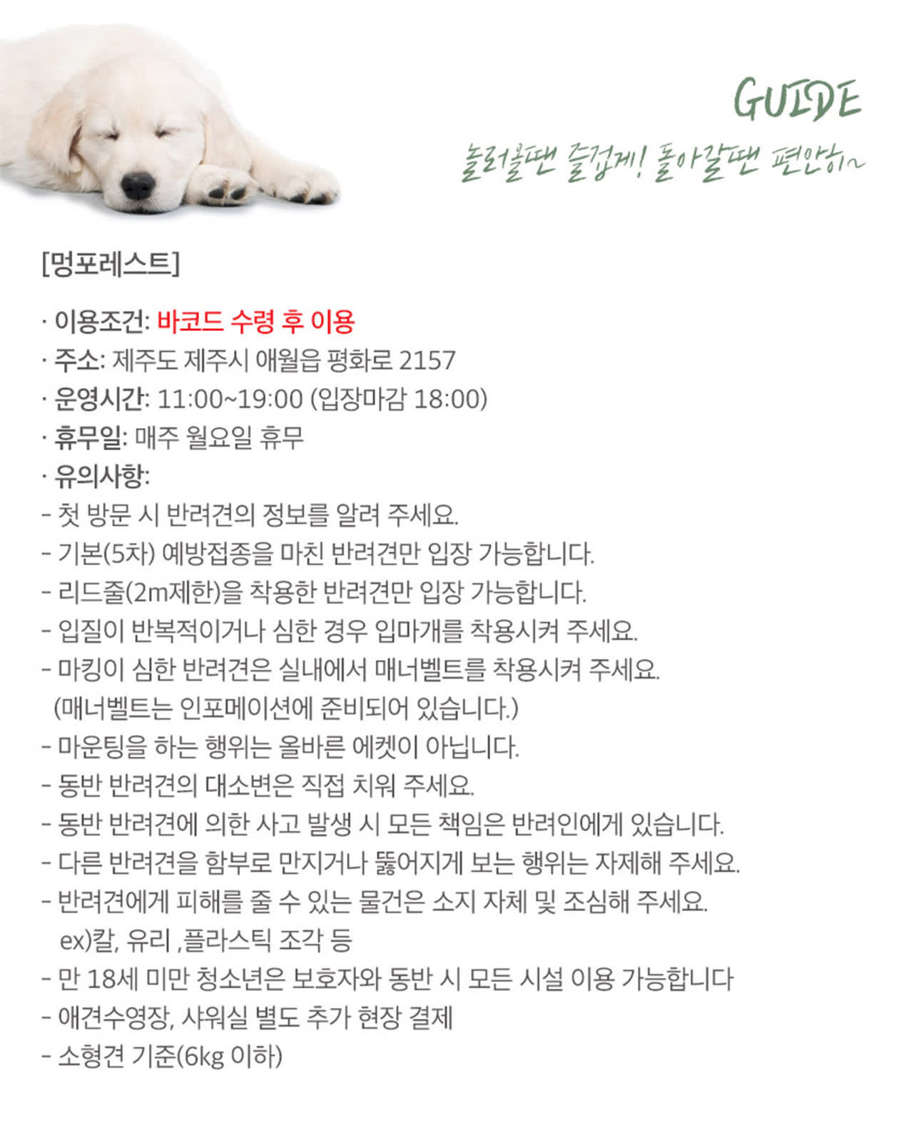 제주 멍포레스트 애견카페 입장권 - 클룩 Klook 한국
