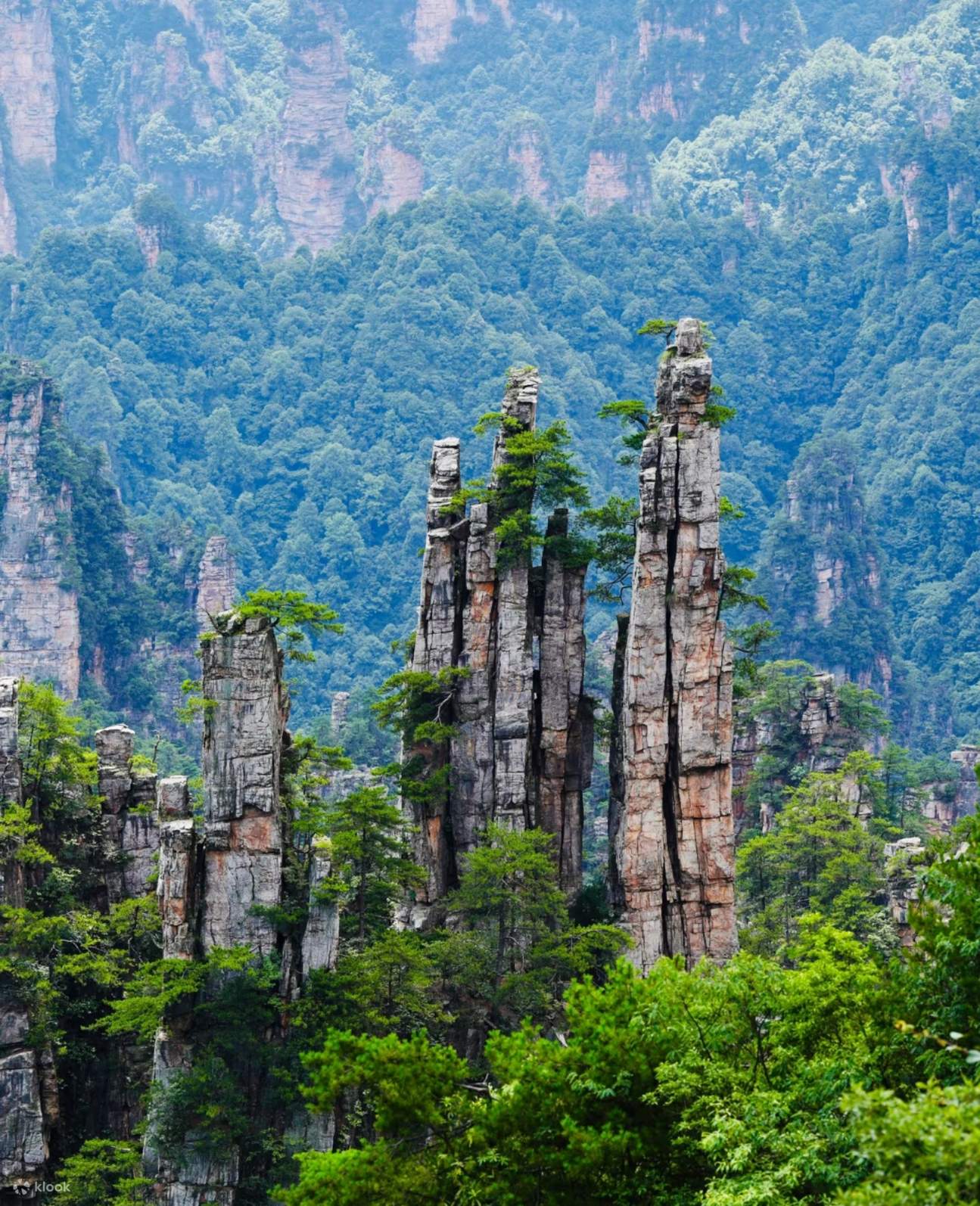 One-day Tour to Zhangjiajie National Forest Park - Klook香港