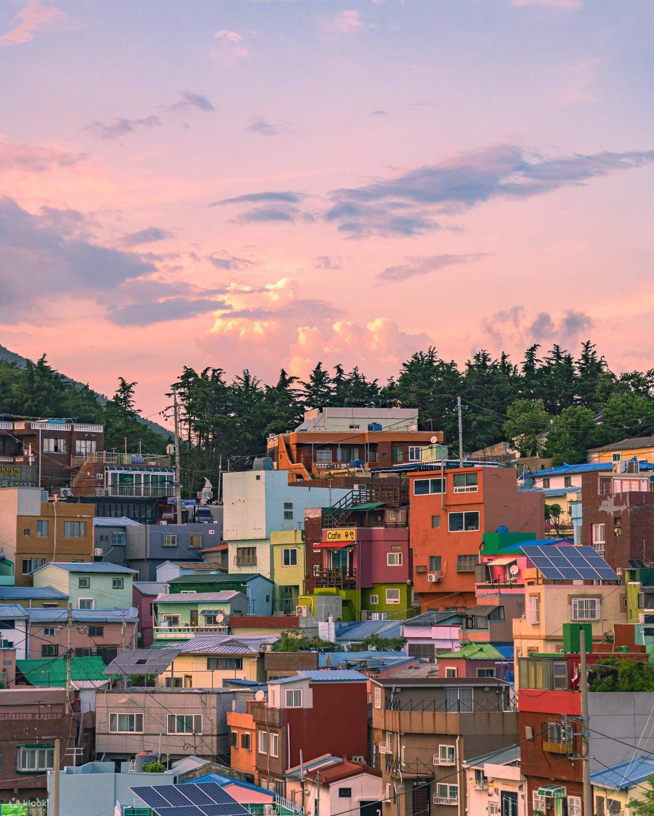 Chụp Ảnh Riêng ở Busan - Ghi Lại Khoảnh Khắc Hàn Quốc