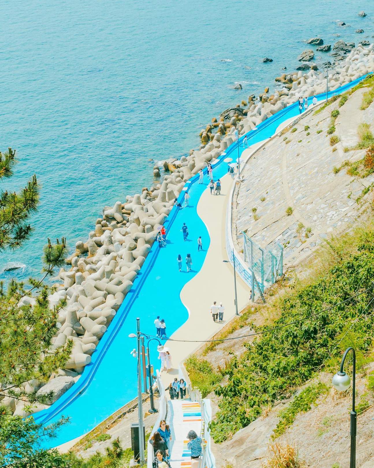 Chụp Ảnh Riêng ở Busan - Ghi Lại Khoảnh Khắc Hàn Quốc