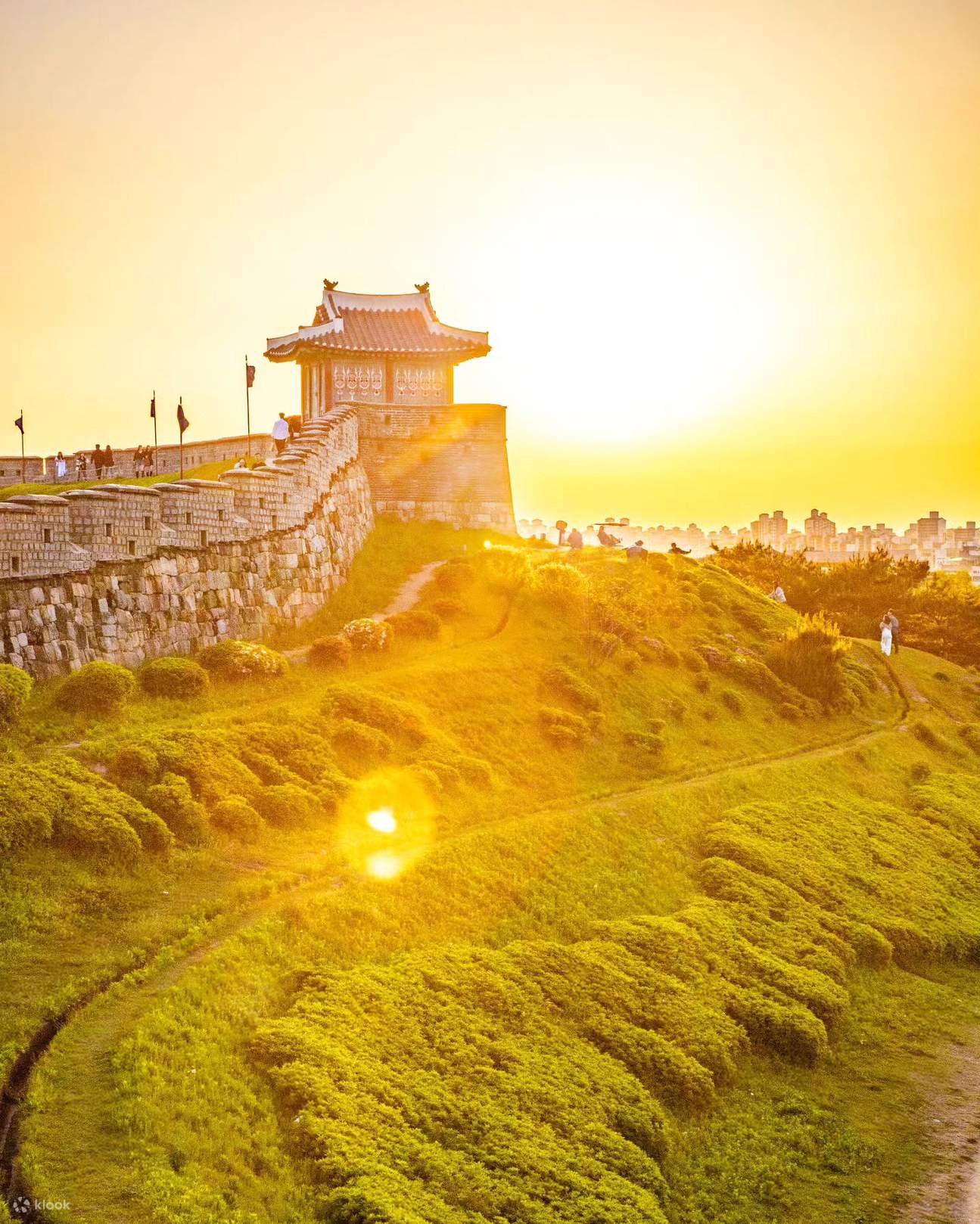 Cherry Blossom Suwon Hwaseong Fortress Tour from Seoul - Klook Australia