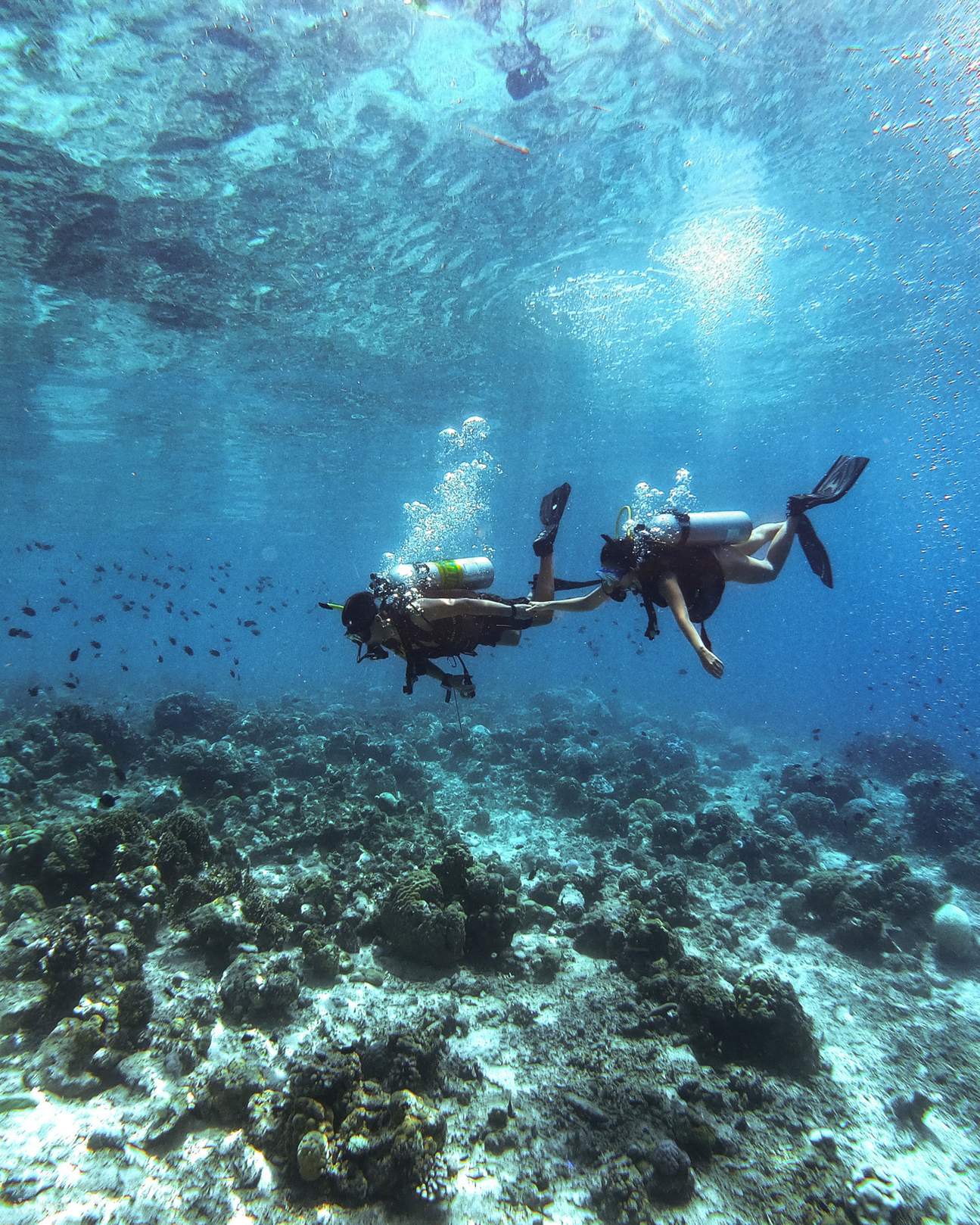 峇里岛高空跳水探险