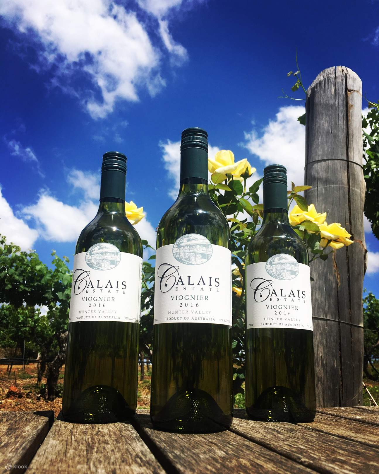 Nếm thử rượu vang Calais Estate Hunter Valley