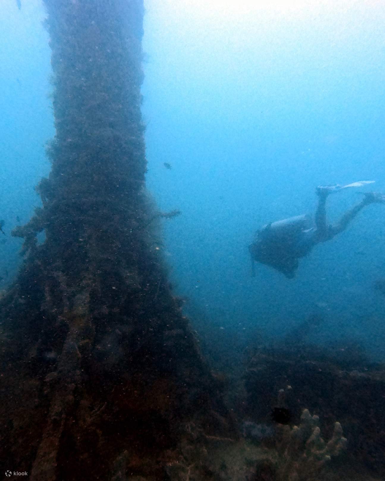 PADI Advanced Open Water Diver