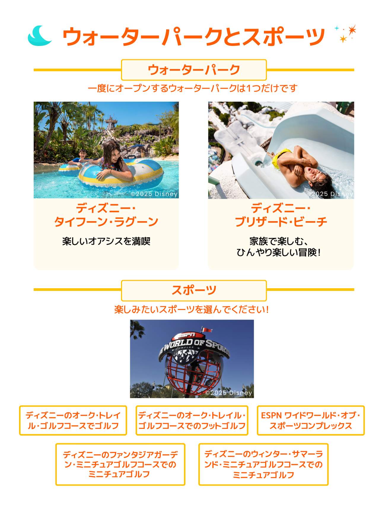 チケットタイプ