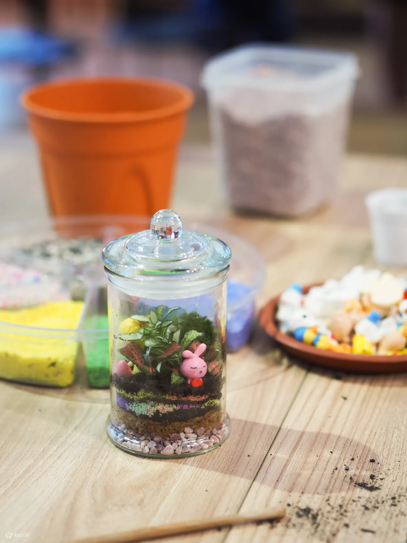 decorating terrarium