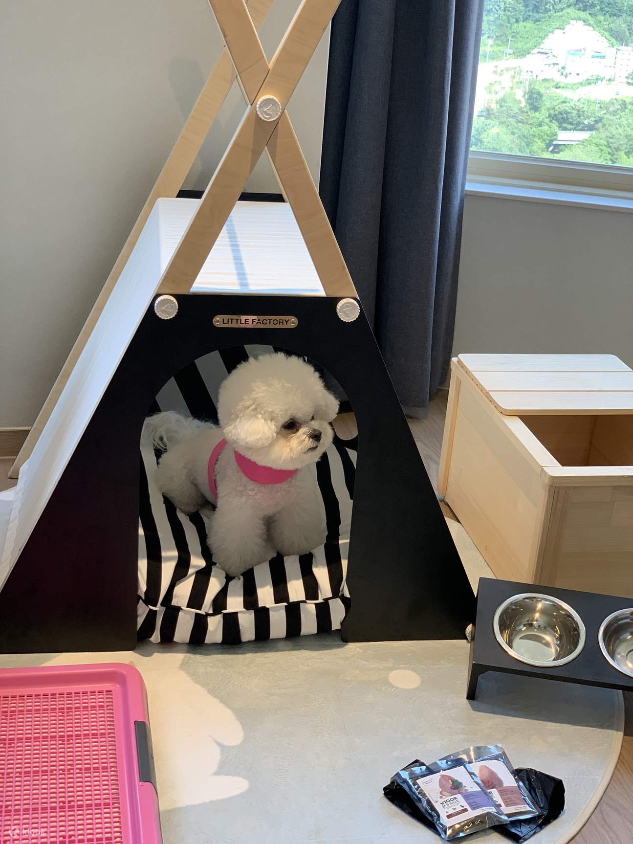 Pyeongchang Phoenix Park Dog Room & Forest Camping BBQ Package Klook