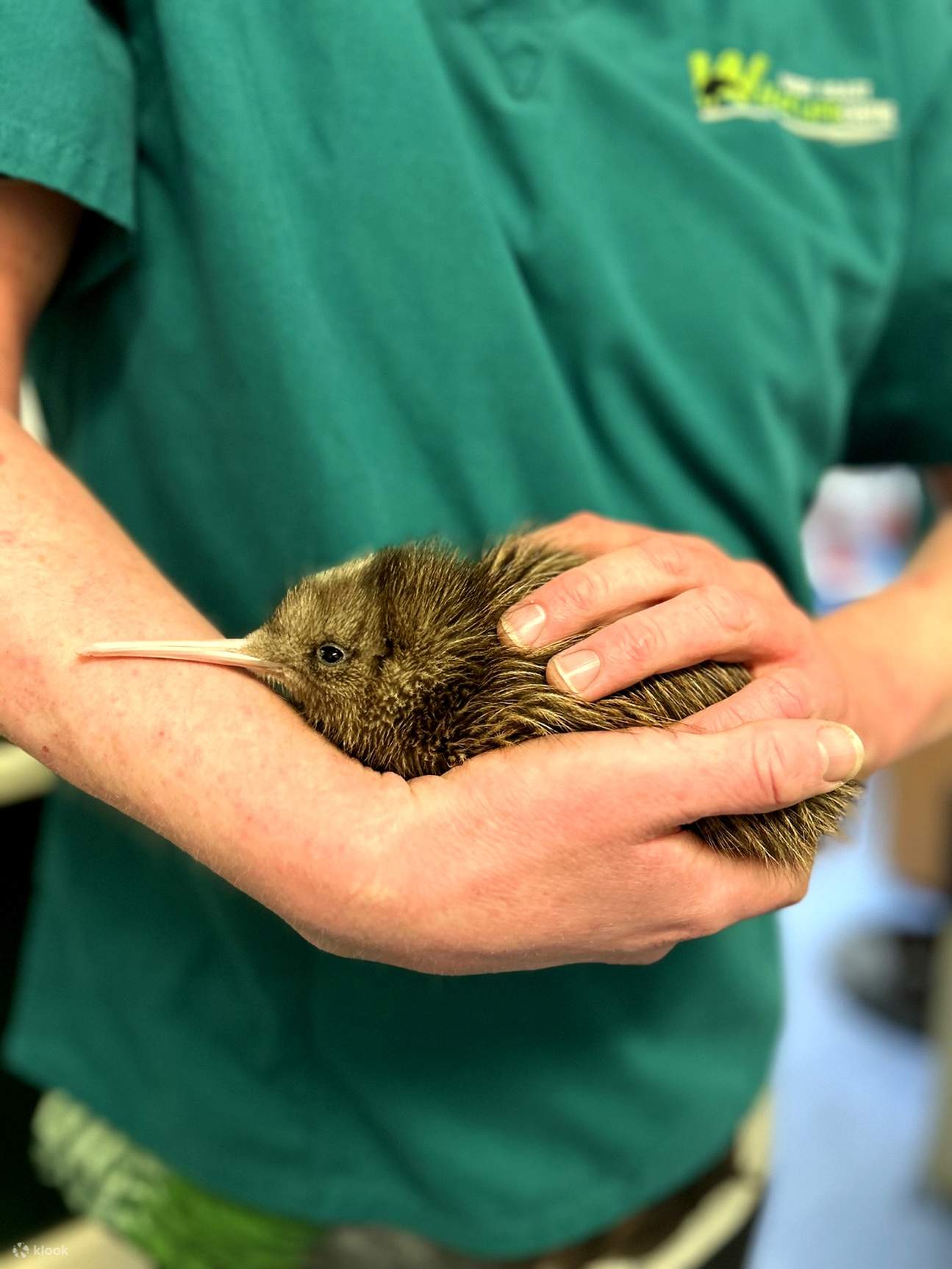 西海岸野生动物中心门票