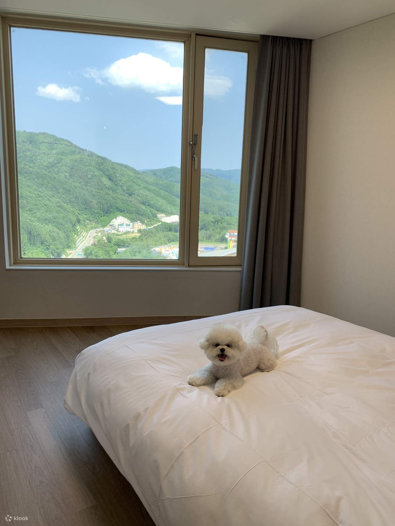 Pyeongchang Phoenix Park Dog Room & Forest Camping BBQ Package Klook