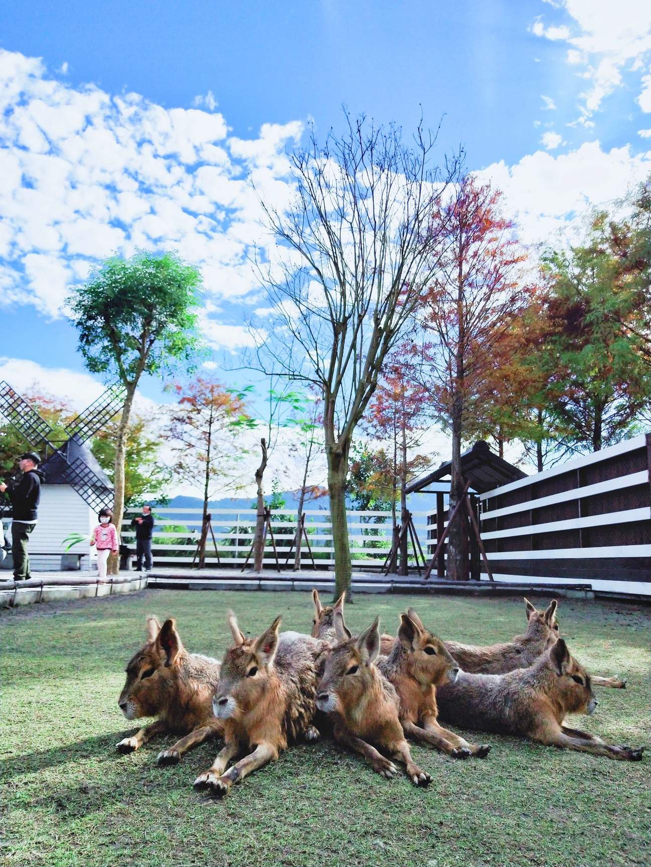 Zhang Mei Ama’s Farm Ticket in Yilan Klook