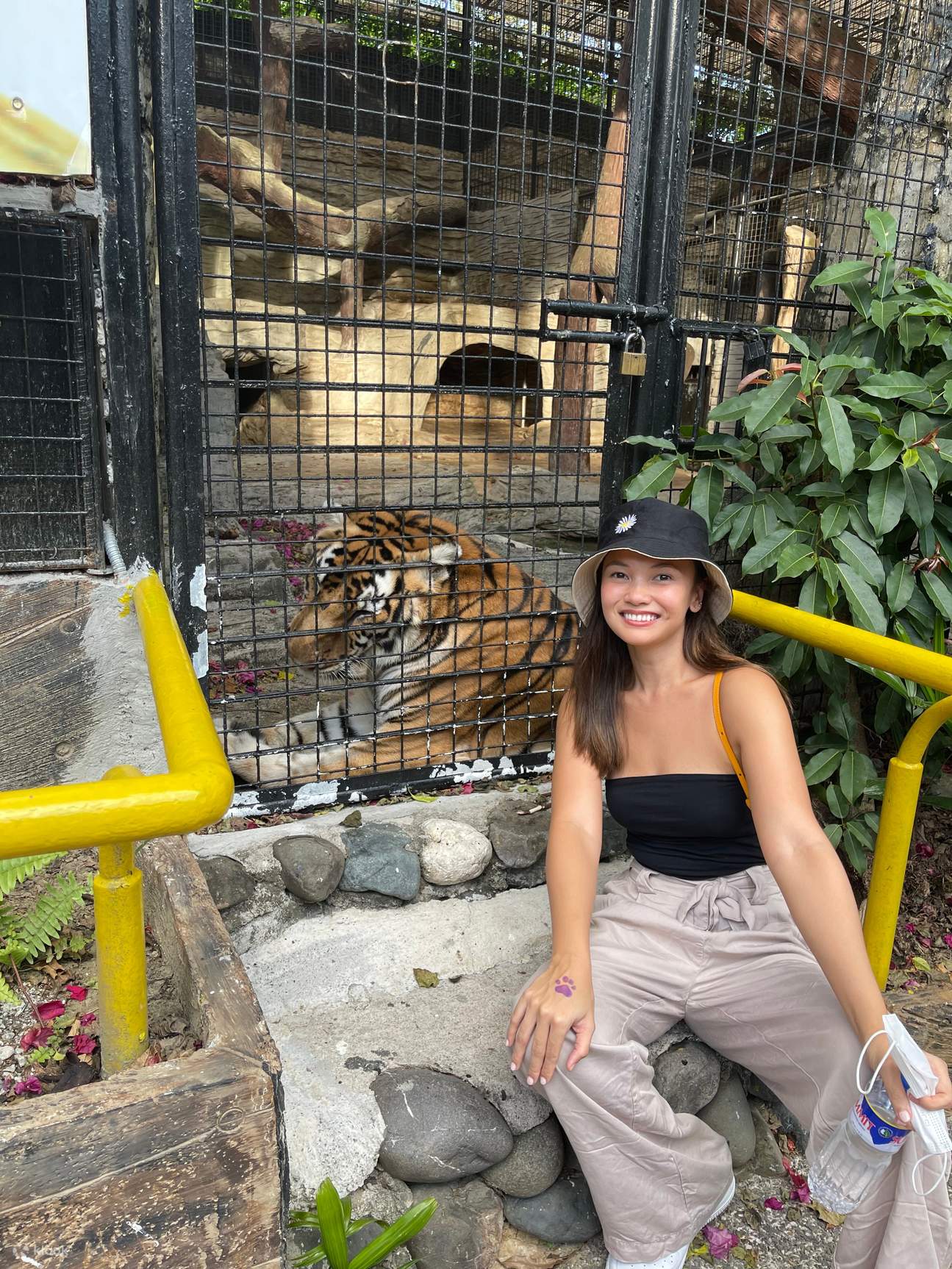 girl with tiger in avilon zoo