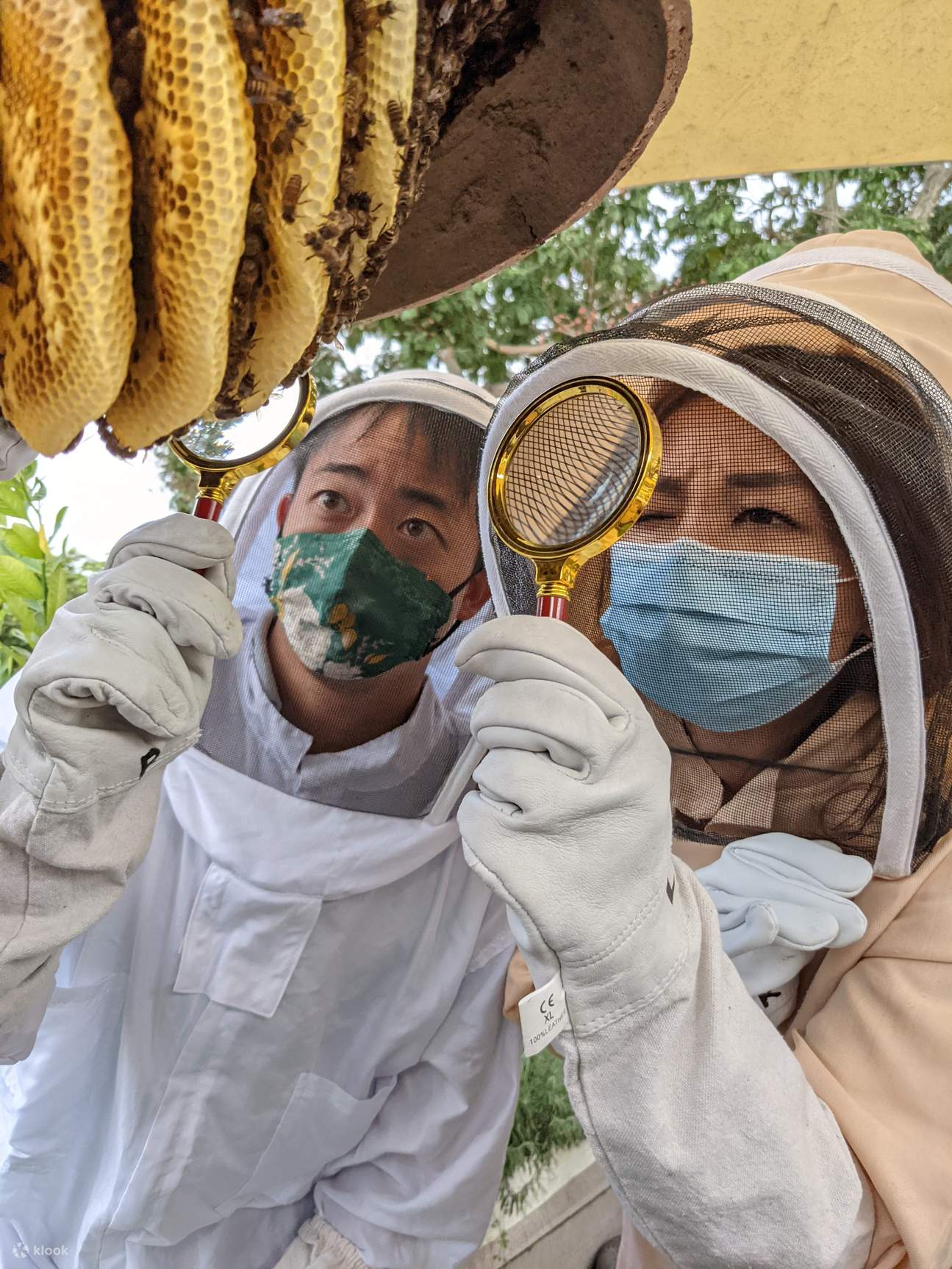 Dachterrasse-Farm-Erlebnis im The Sundowner