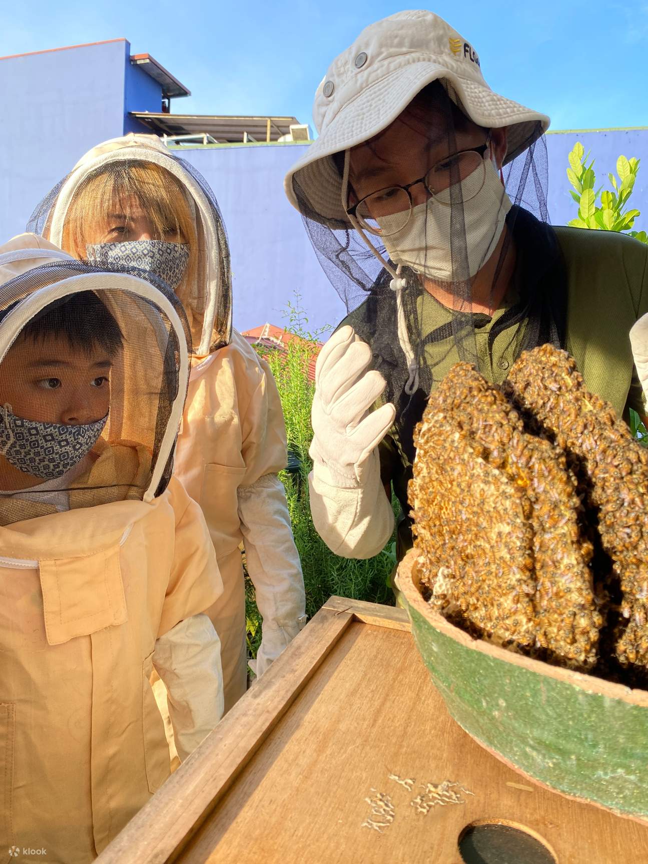 Experiencia en la Granja de la Azotea en The Sundowner