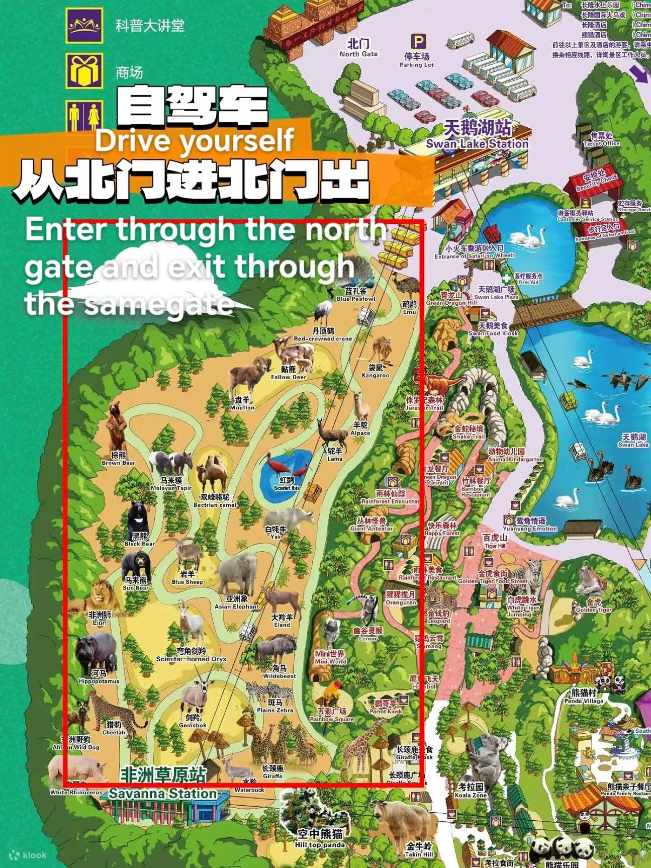 Guangzhou Chimelong VIP Private Tour with Exclusive Guide - Klook Singapore