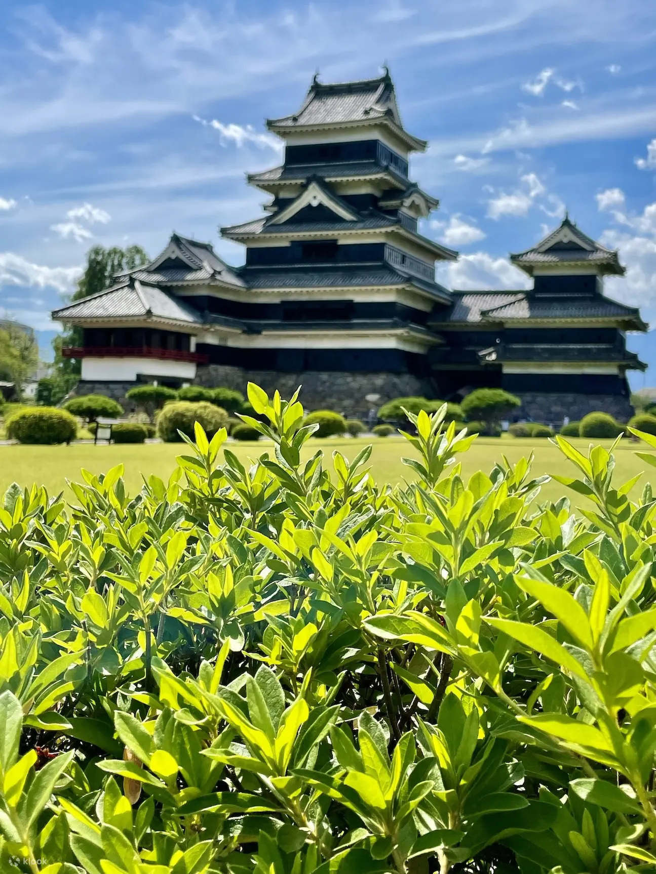 国宝松本城参观券（长野）