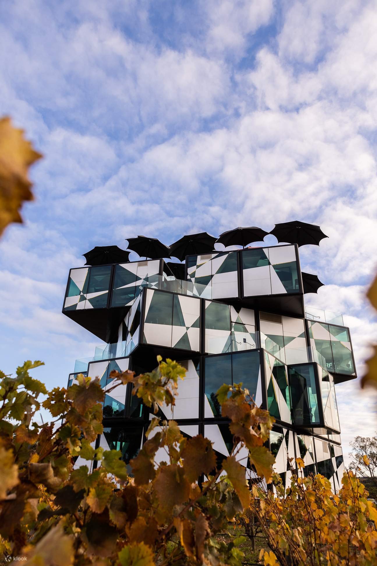 Reuniones con su esencia refinada