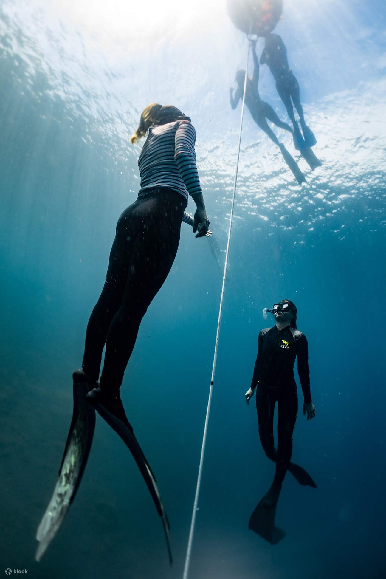Freediving Certification Course (Molchanovs Wave 1) in Batangas Klook