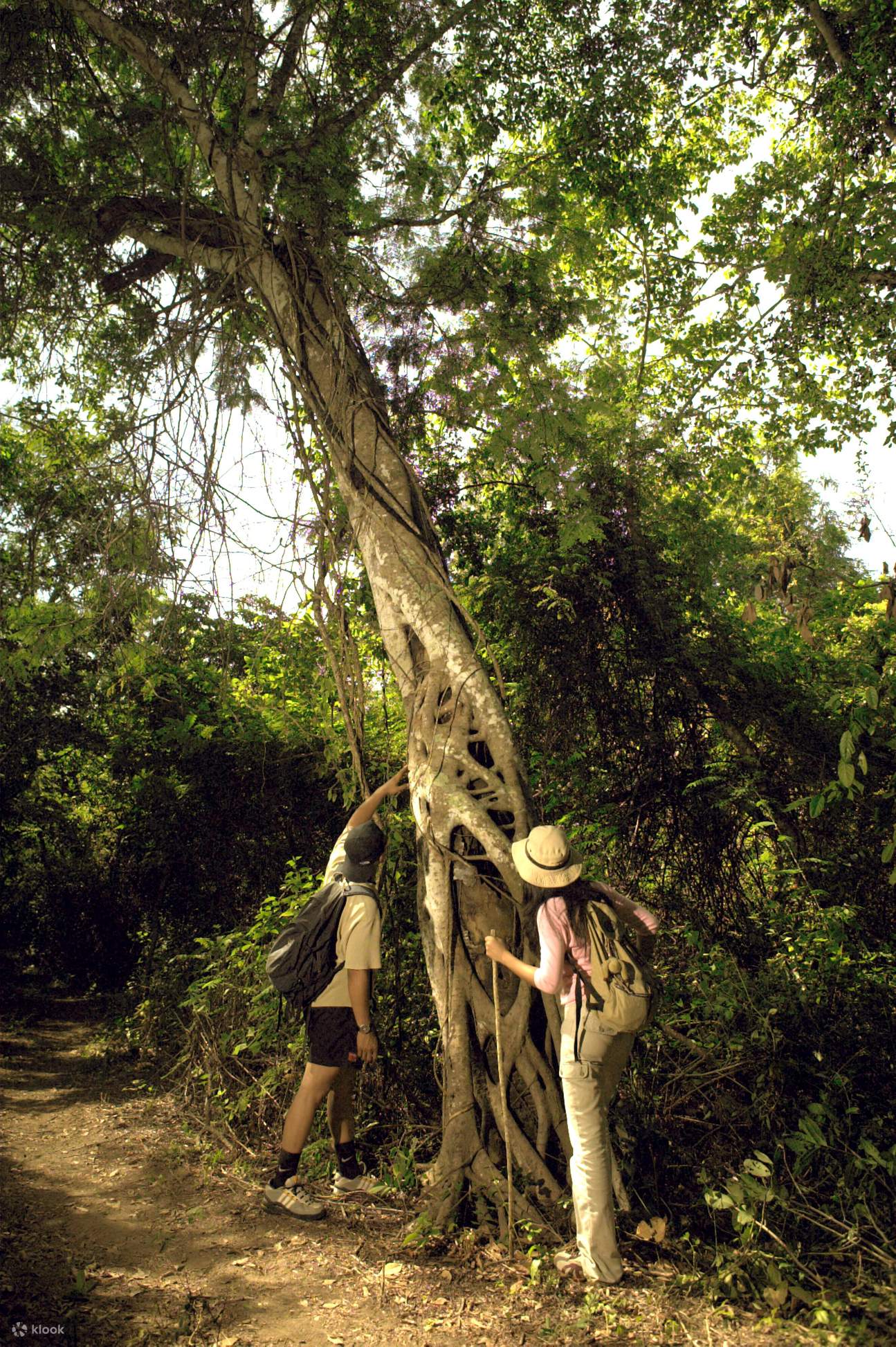 Safari Picnic And Encounters in Plataran Menjangan Resort & Spa - Klook 